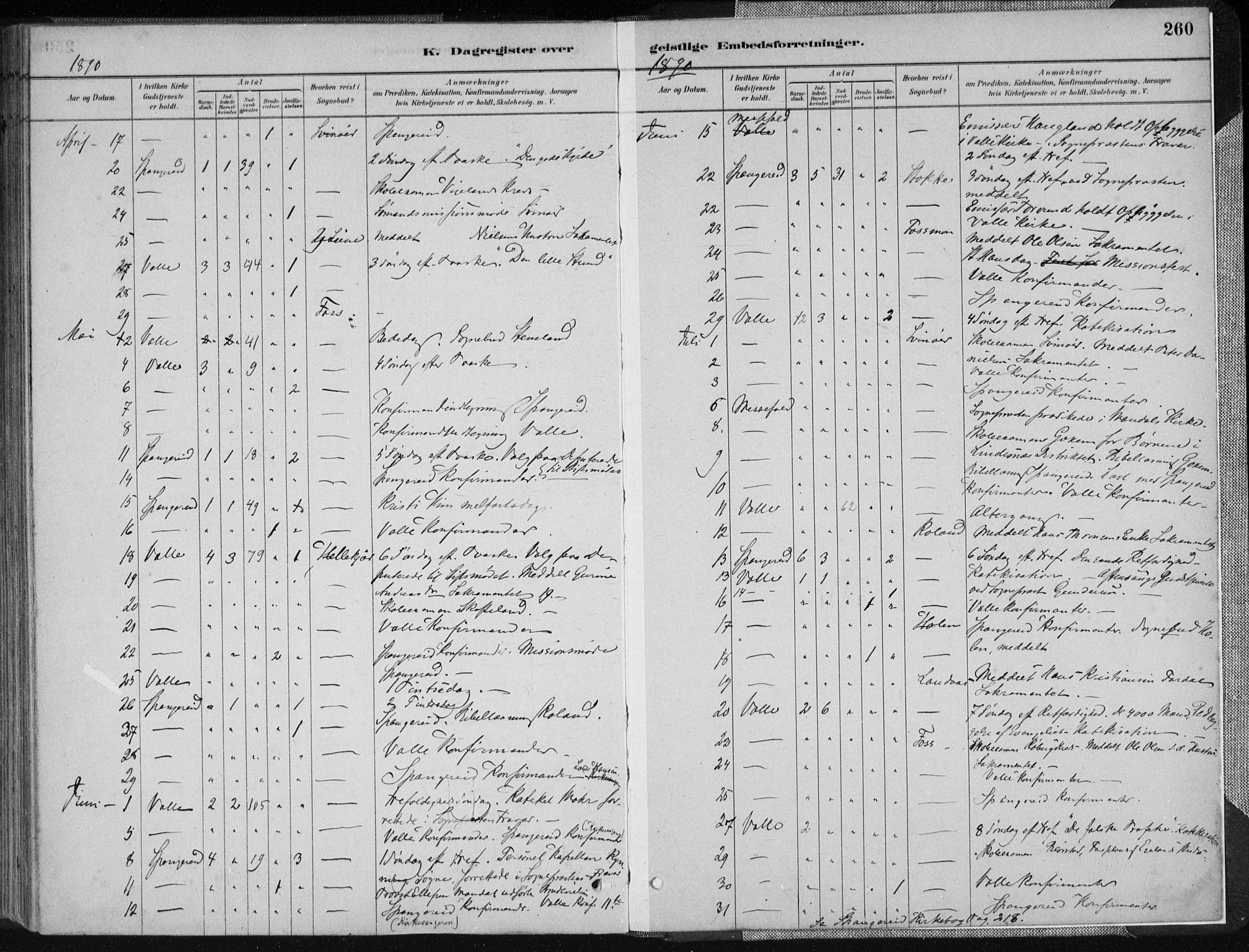 Sør-Audnedal sokneprestkontor, AV/SAK-1111-0039/F/Fa/Fab/L0009: Parish register (official) no. A 9, 1880-1895, p. 260