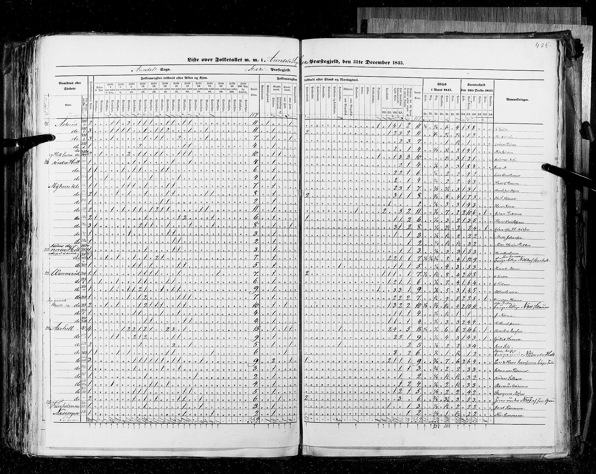 RA, Census 1845, vol. 4: Buskerud amt og Jarlsberg og Larvik amt, 1845, p. 425