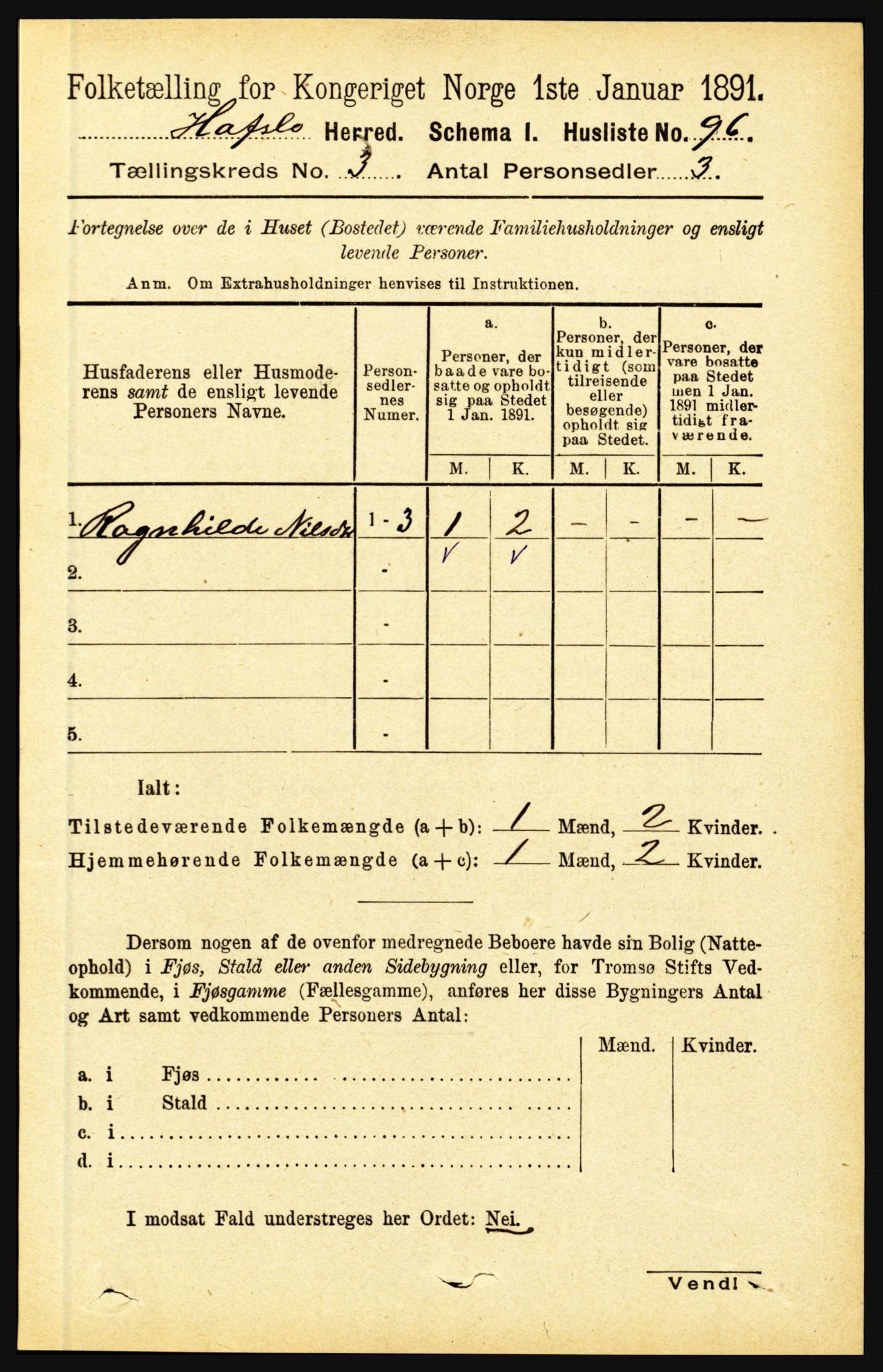 RA, 1891 census for 1425 Hafslo, 1891, p. 976