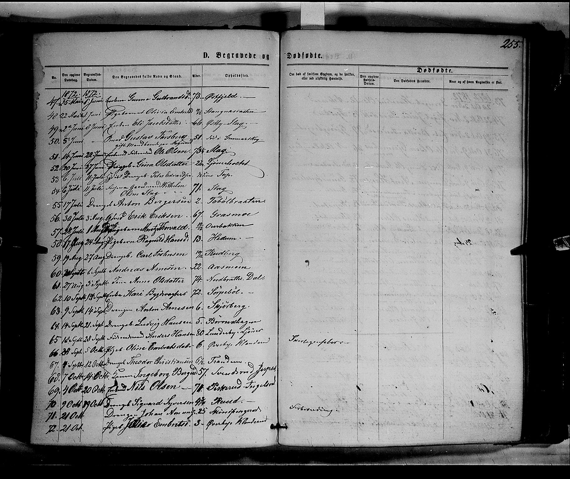 Eidskog prestekontor, AV/SAH-PREST-026/H/Ha/Haa/L0002: Parish register (official) no. 2, 1867-1878, p. 255