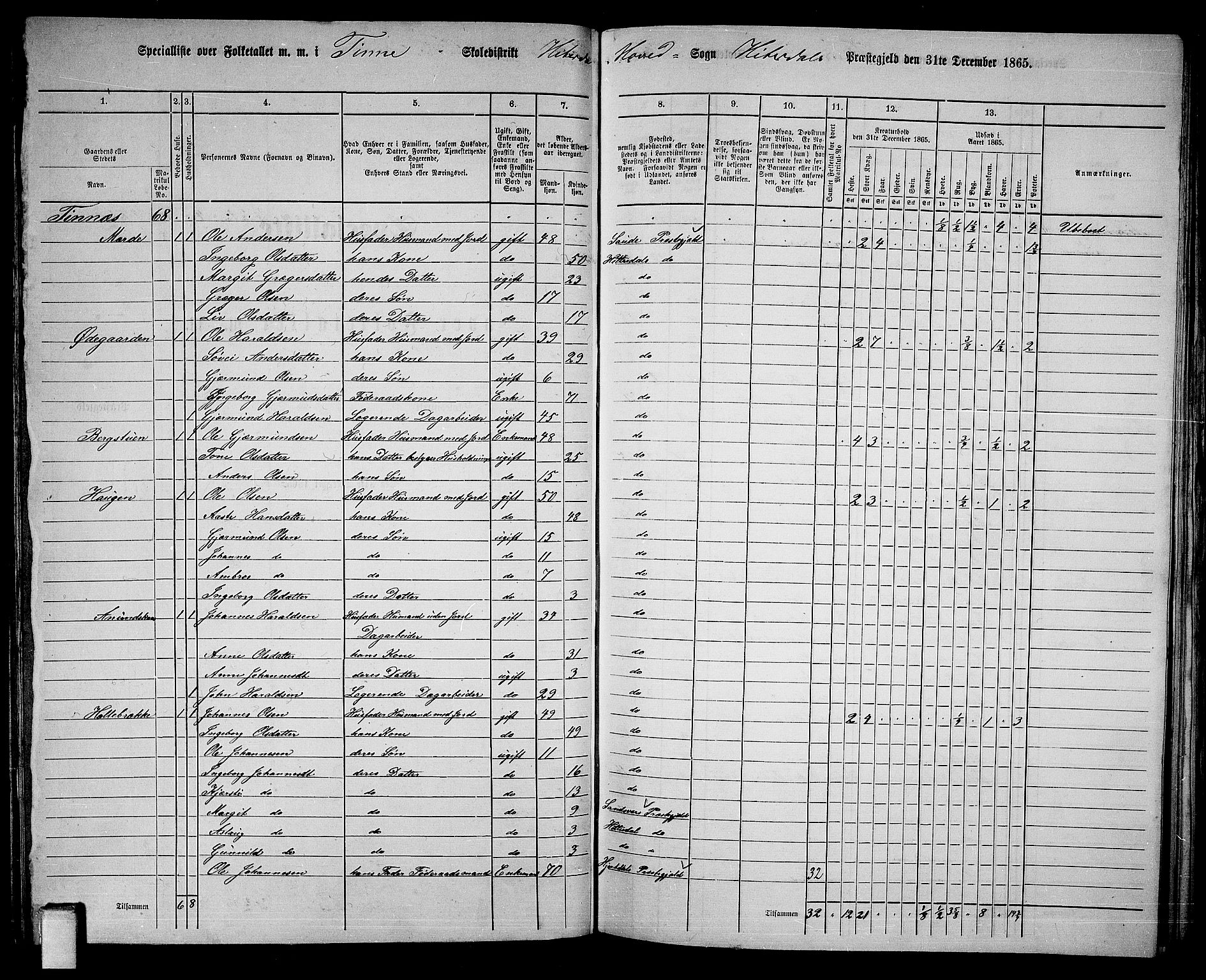 RA, 1865 census for Heddal, 1865, p. 66