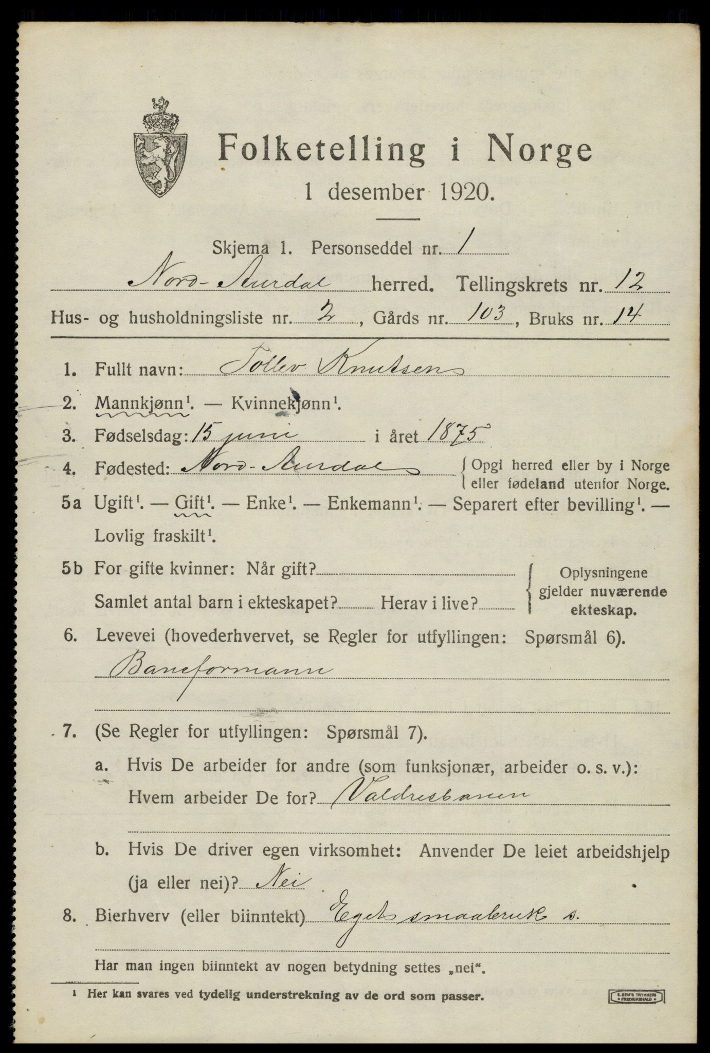 SAH, 1920 census for Nord-Aurdal, 1920, p. 9892