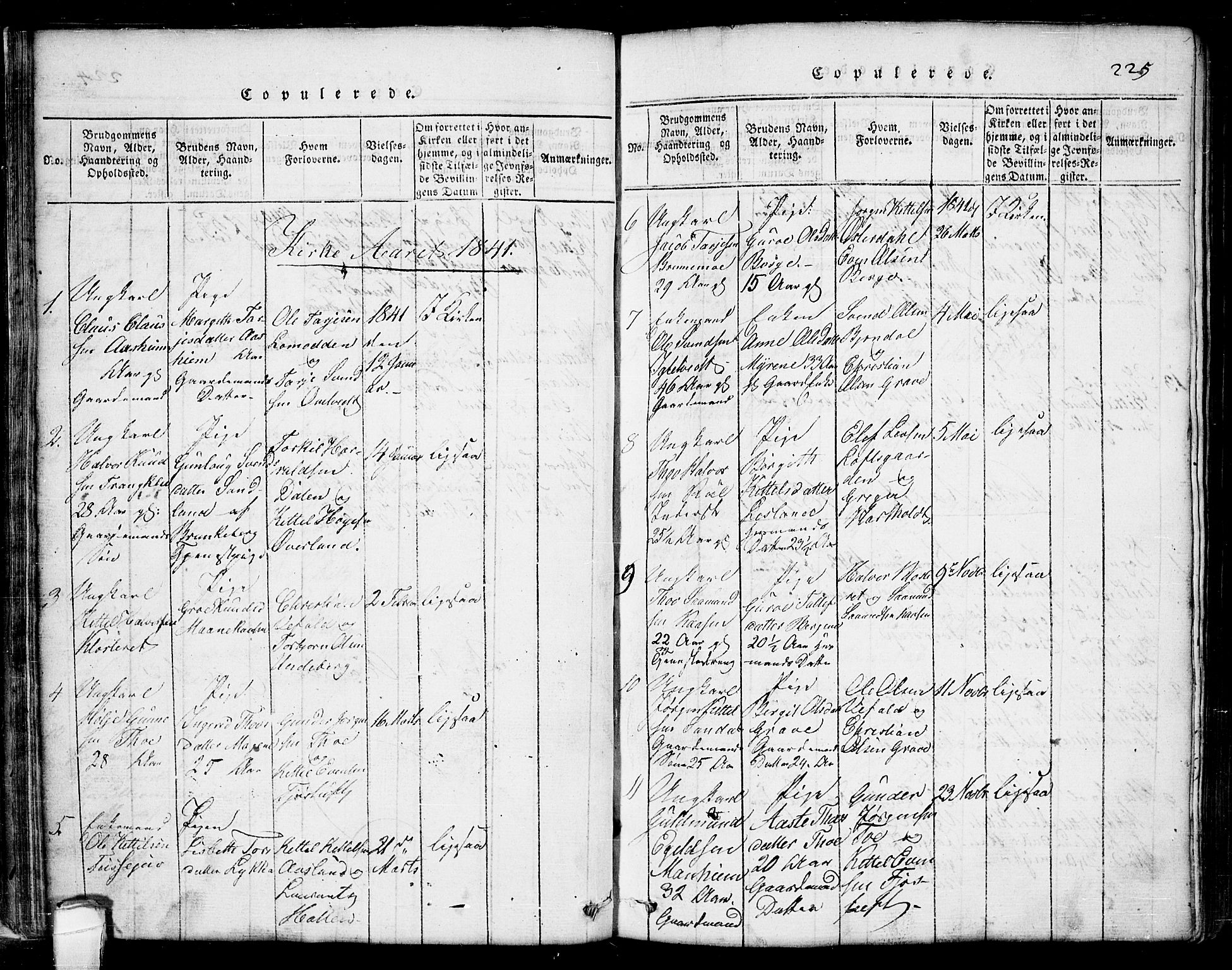 Seljord kirkebøker, AV/SAKO-A-20/G/Ga/L0001: Parish register (copy) no. I 1, 1815-1854, p. 225