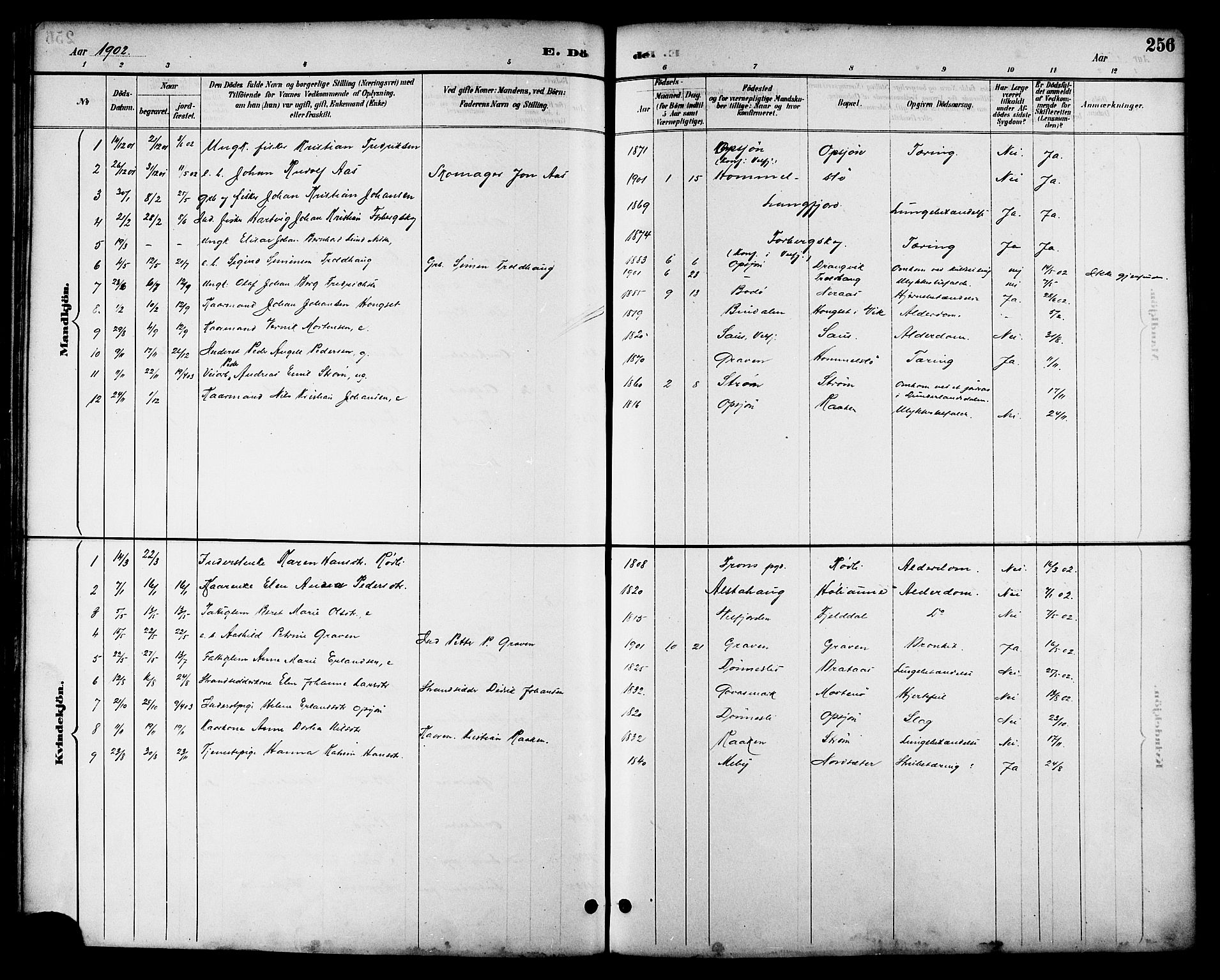 Ministerialprotokoller, klokkerbøker og fødselsregistre - Nordland, AV/SAT-A-1459/814/L0230: Parish register (copy) no. 814C03, 1884-1911, p. 256