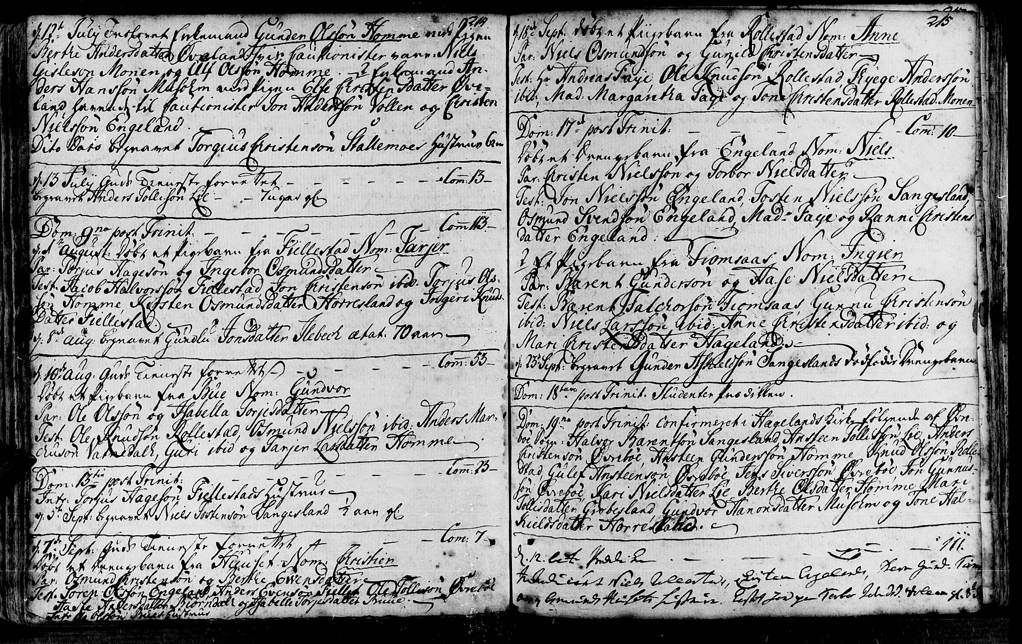 Vennesla sokneprestkontor, AV/SAK-1111-0045/Fa/Fac/L0001: Parish register (official) no. A 1, 1743-1784, p. 214-215