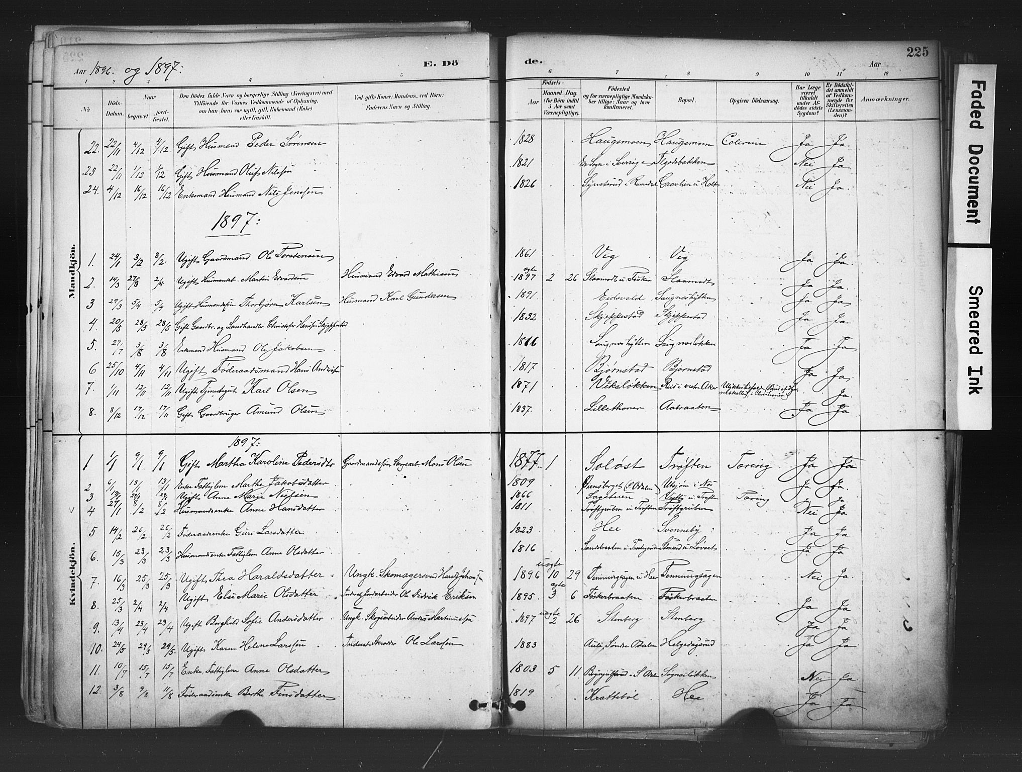 Nord-Odal prestekontor, AV/SAH-PREST-032/H/Ha/Haa/L0006: Parish register (official) no. 6, 1886-1901, p. 225