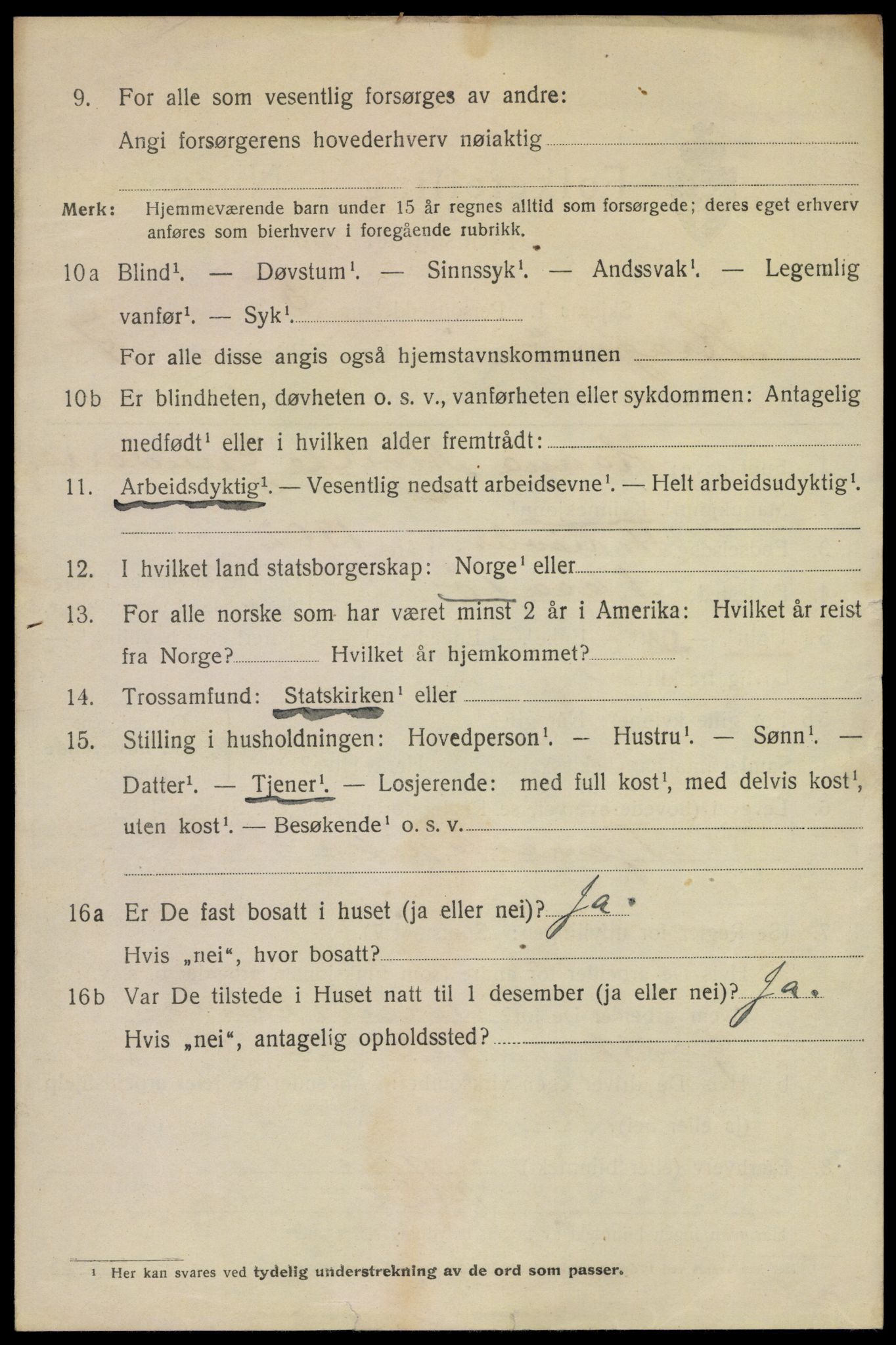 SAKO, 1920 census for Kragerø, 1920, p. 11102