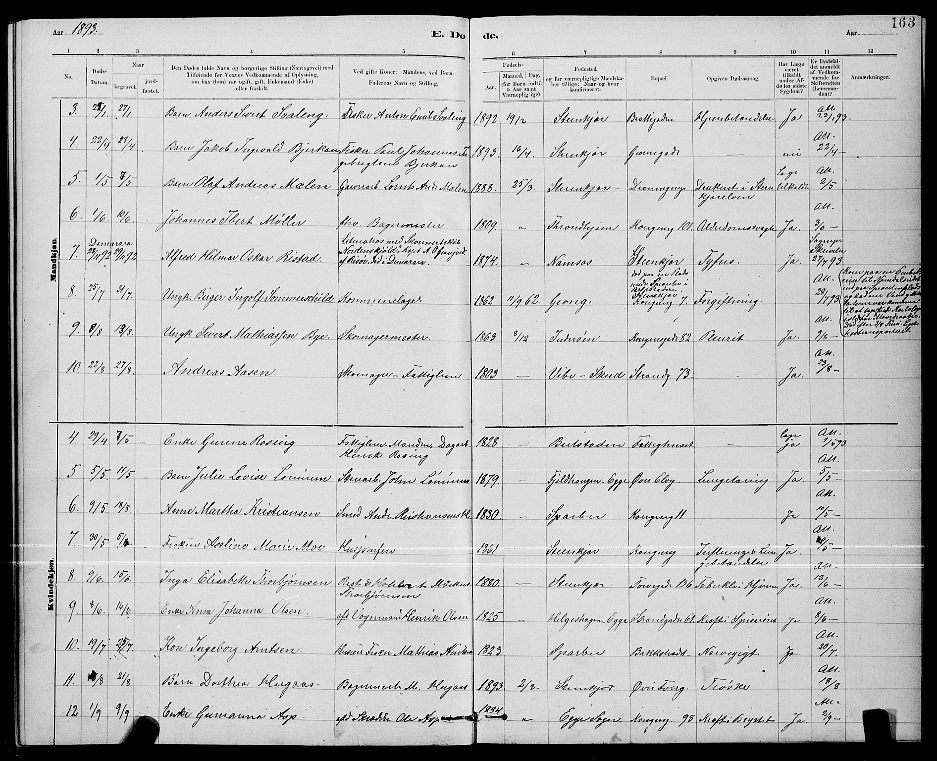 Ministerialprotokoller, klokkerbøker og fødselsregistre - Nord-Trøndelag, SAT/A-1458/739/L0374: Parish register (copy) no. 739C02, 1883-1898, p. 163