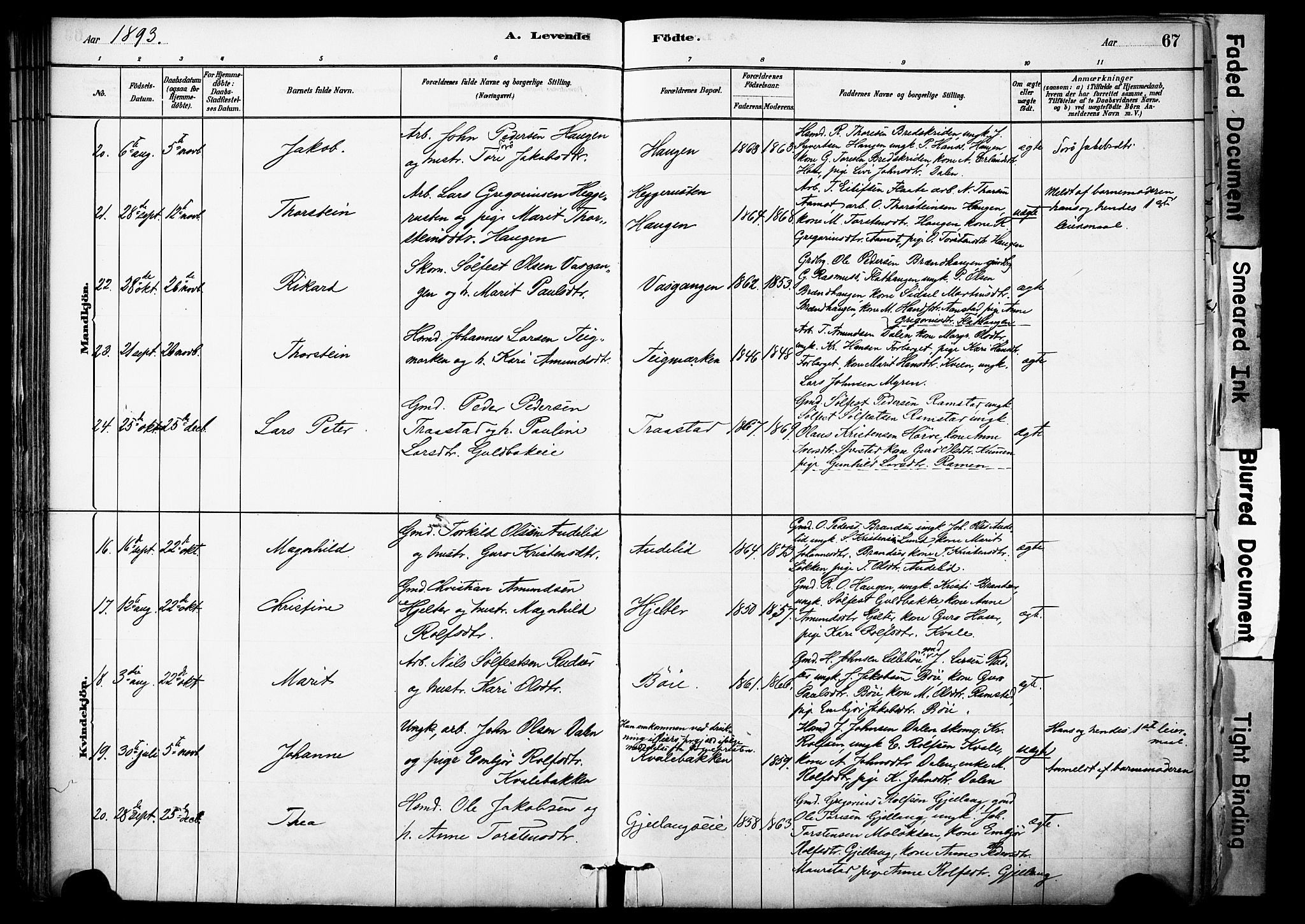 Skjåk prestekontor, SAH/PREST-072/H/Ha/Haa/L0003: Parish register (official) no. 3, 1880-1907, p. 67