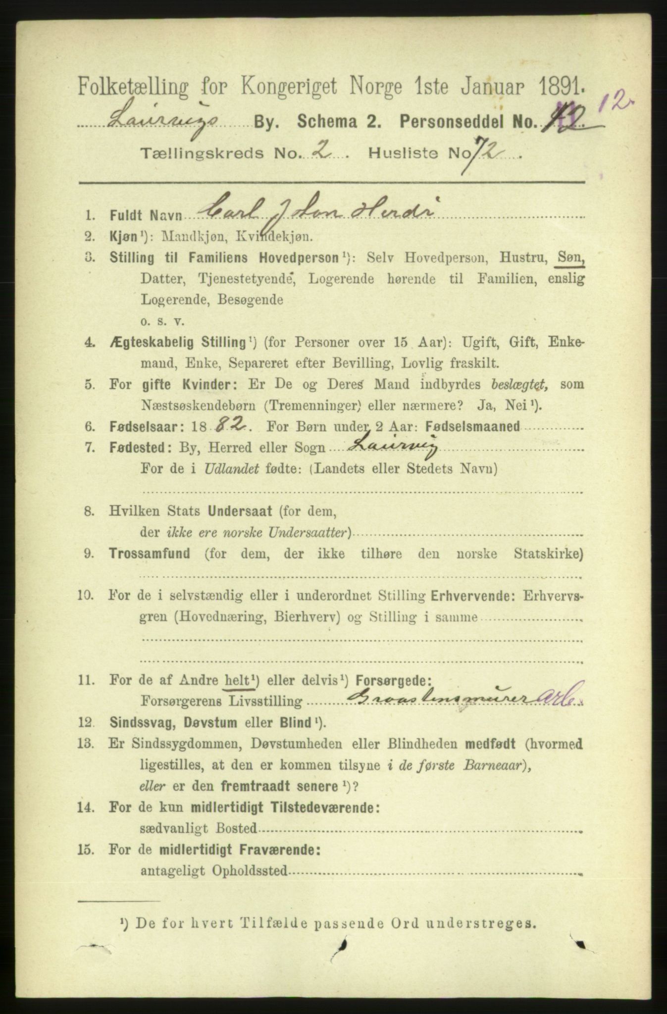 RA, 1891 census for 0707 Larvik, 1891, p. 4117