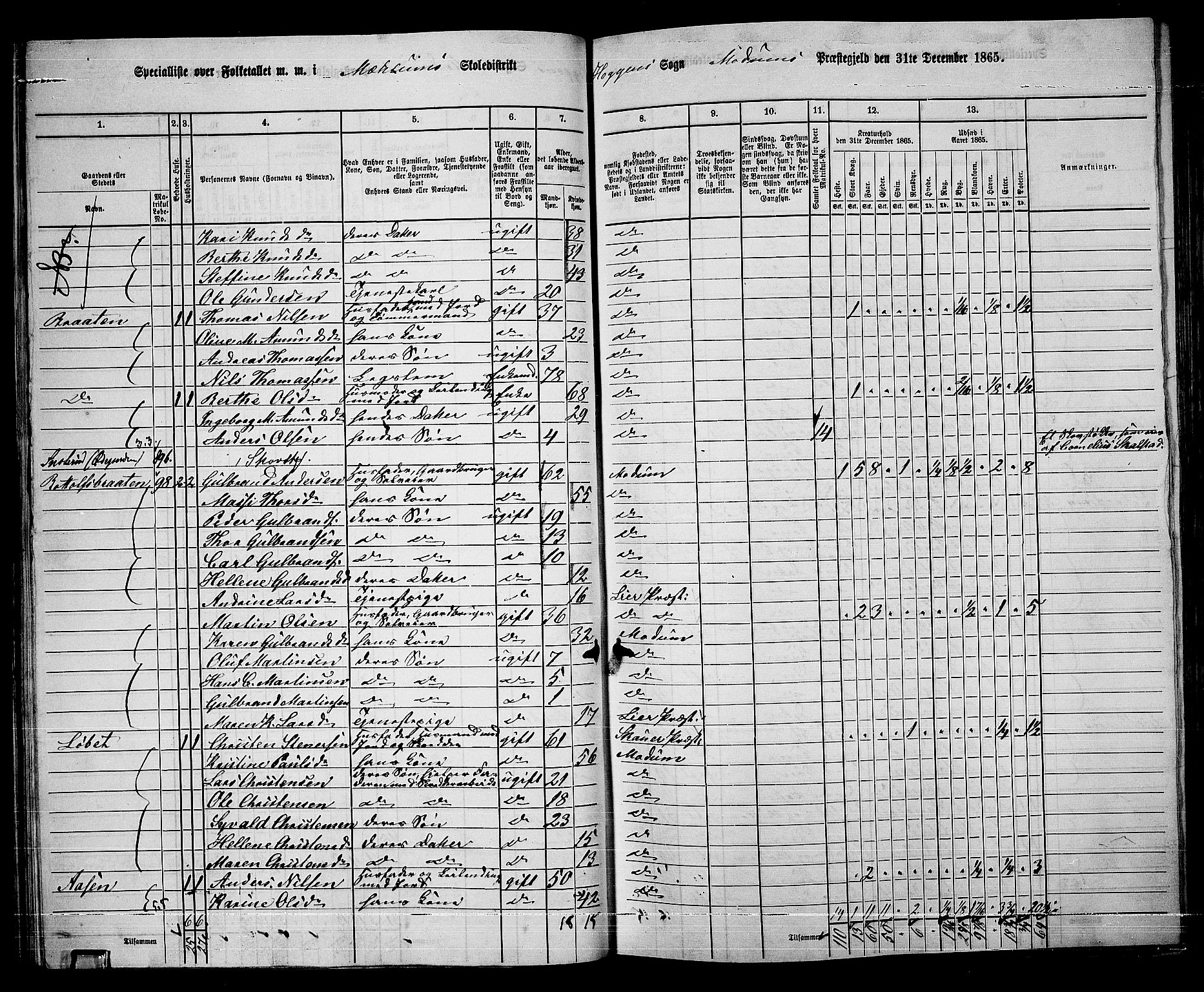 RA, 1865 census for Modum, 1865, p. 70