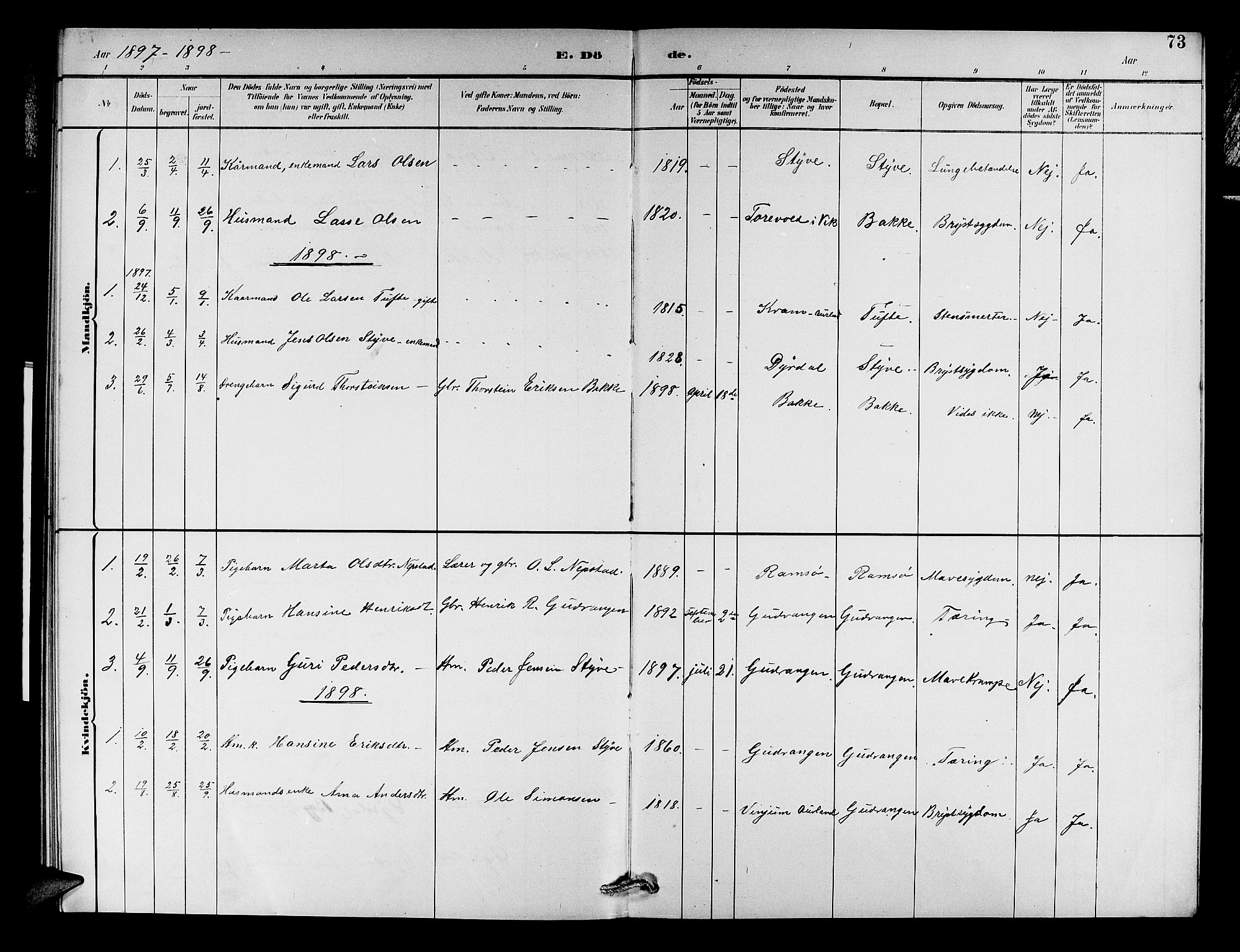 Aurland sokneprestembete, SAB/A-99937/H/Hb/Hbc/L0002: Parish register (copy) no. C 2, 1883-1900, p. 73