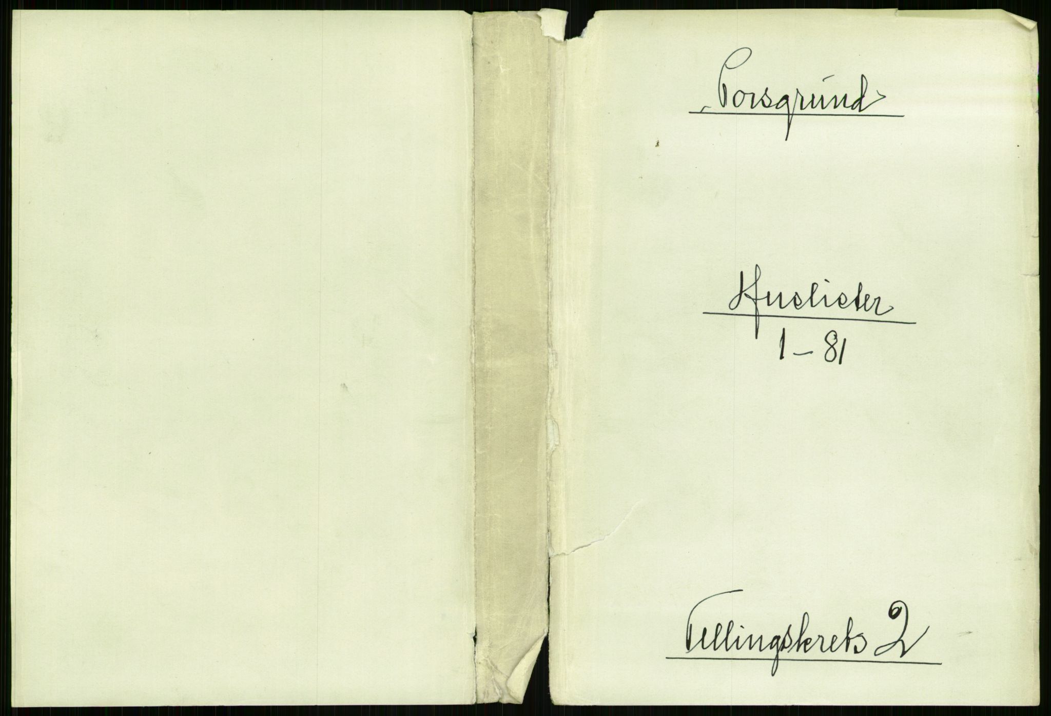 RA, 1891 census for 0805 Porsgrunn, 1891, p. 295