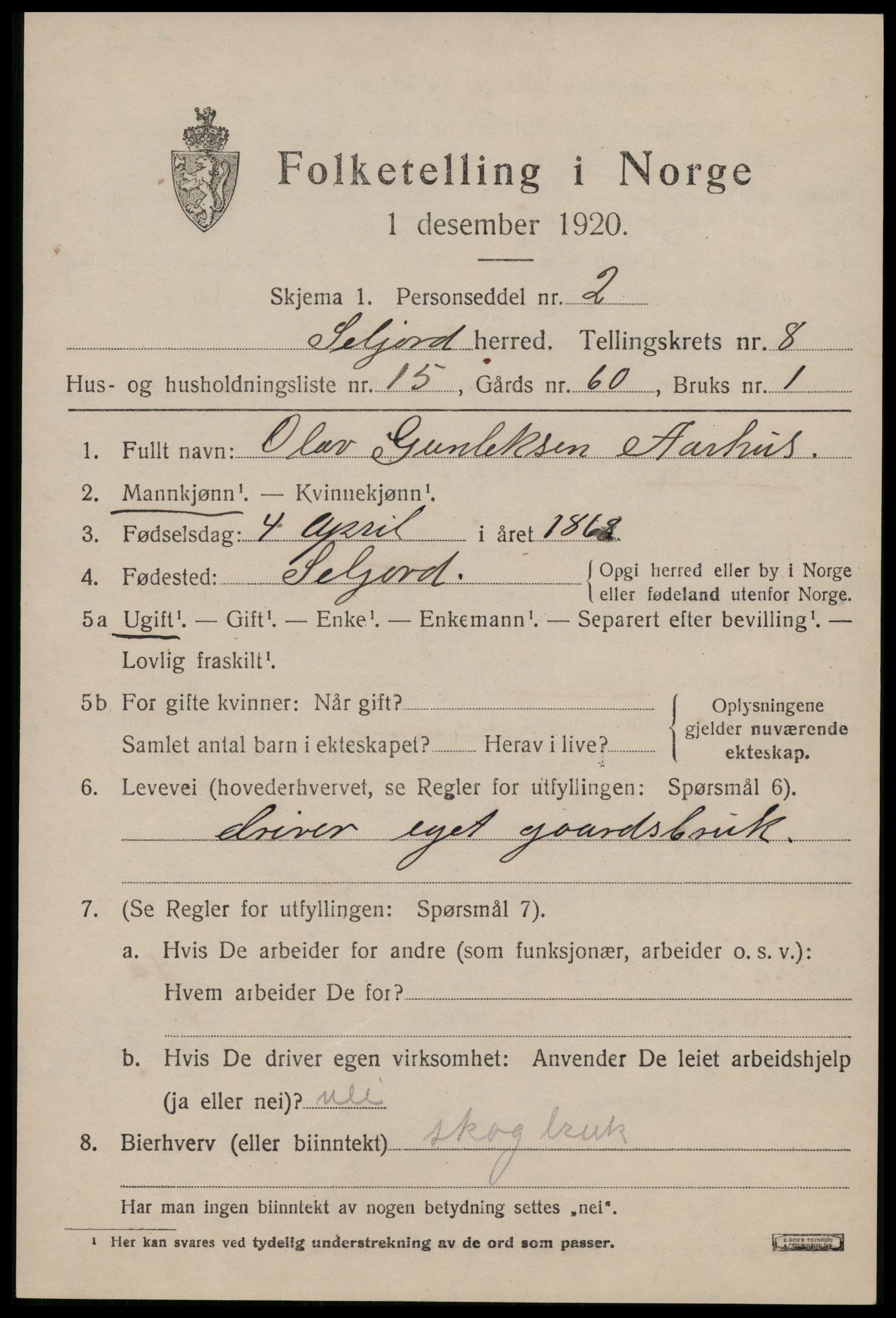 SAKO, 1920 census for Seljord, 1920, p. 4042