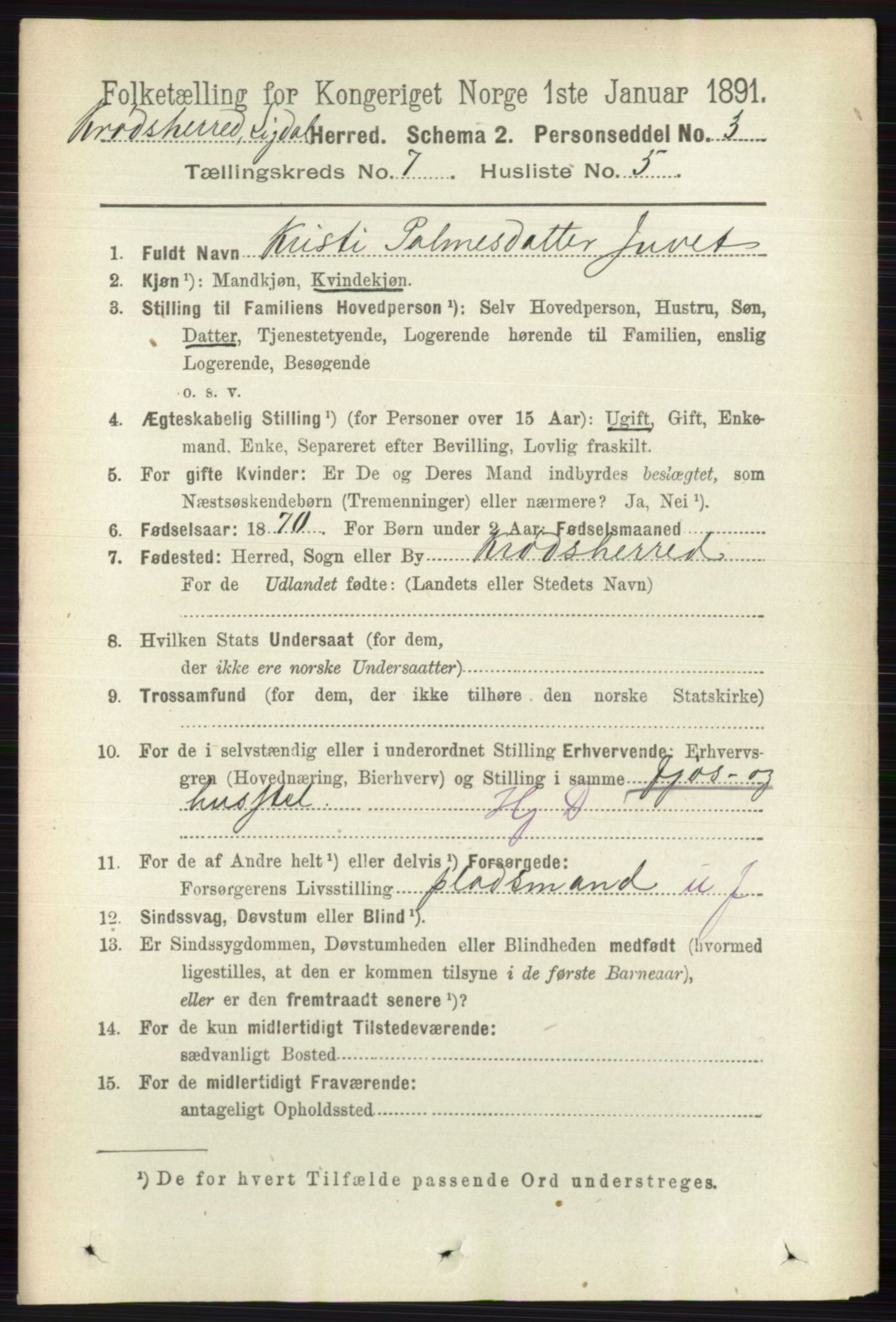 RA, 1891 census for 0621 Sigdal, 1891, p. 7052