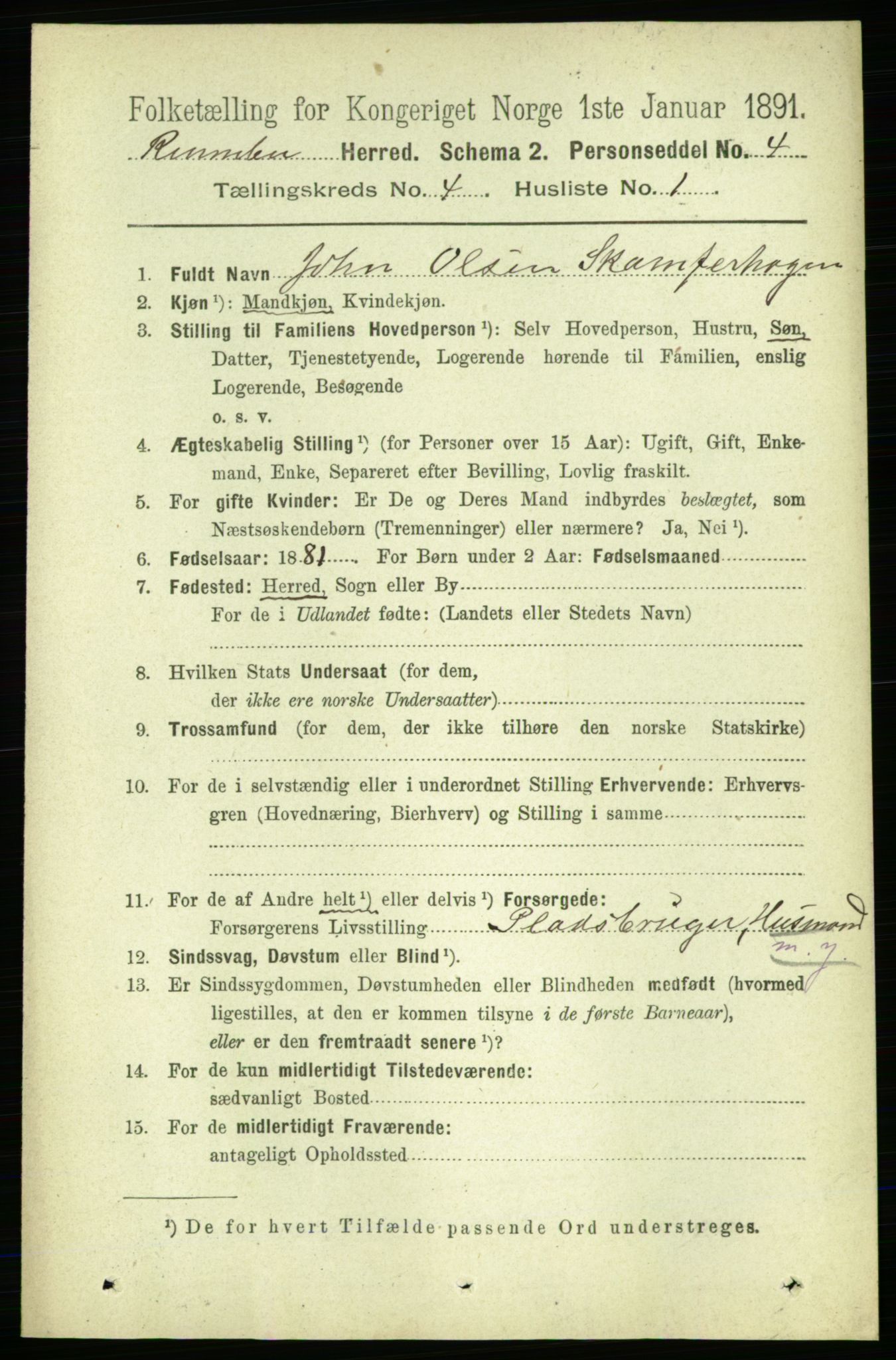 RA, 1891 census for 1635 Rennebu, 1891, p. 1991