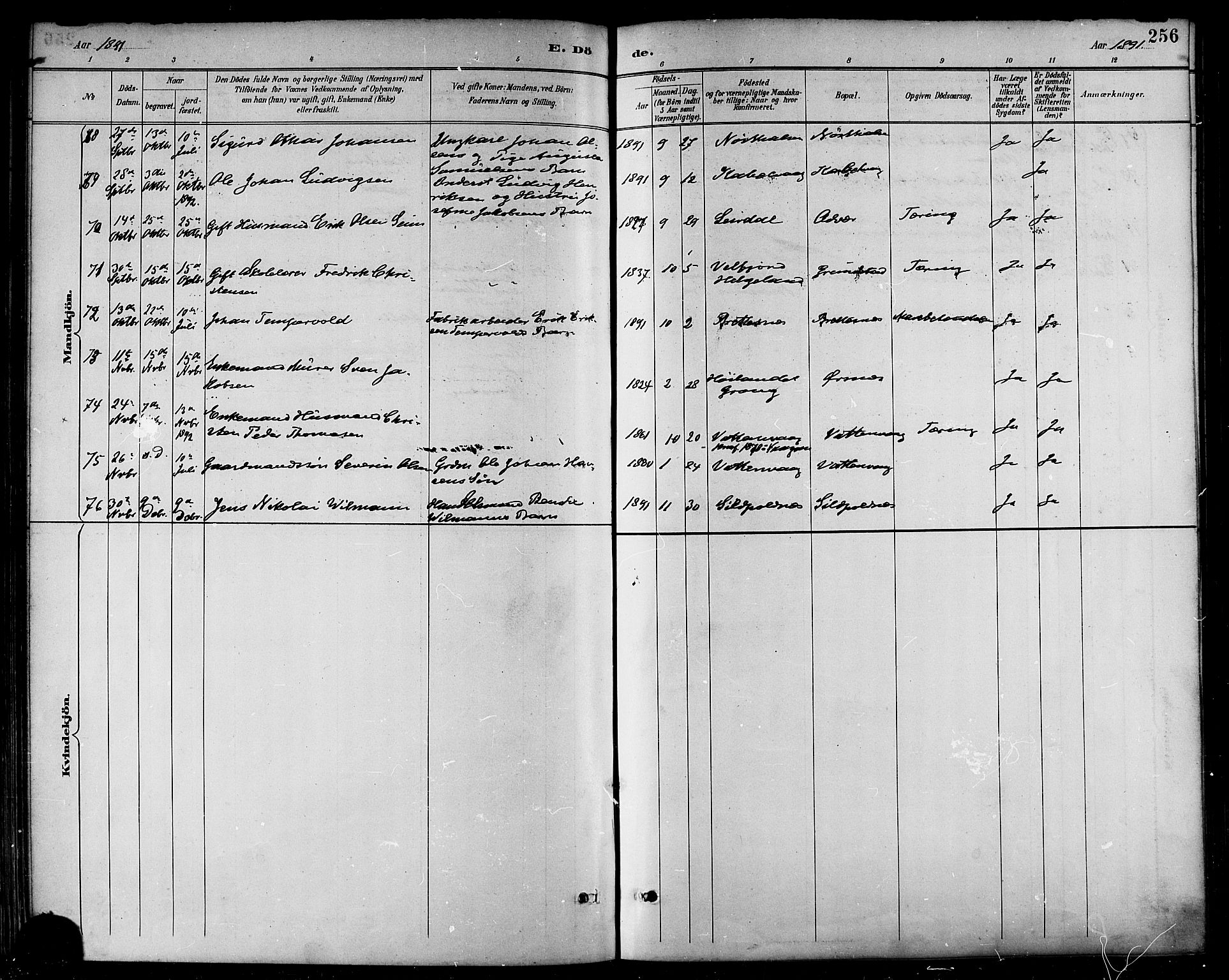 Ministerialprotokoller, klokkerbøker og fødselsregistre - Nordland, AV/SAT-A-1459/874/L1060: Parish register (official) no. 874A04, 1890-1899, p. 256