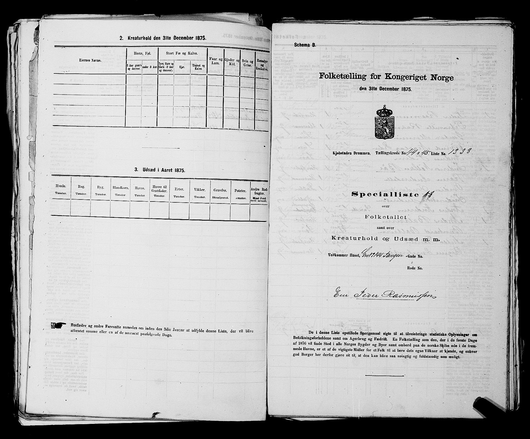 SAKO, 1875 census for 0602 Drammen, 1875, p. 3616