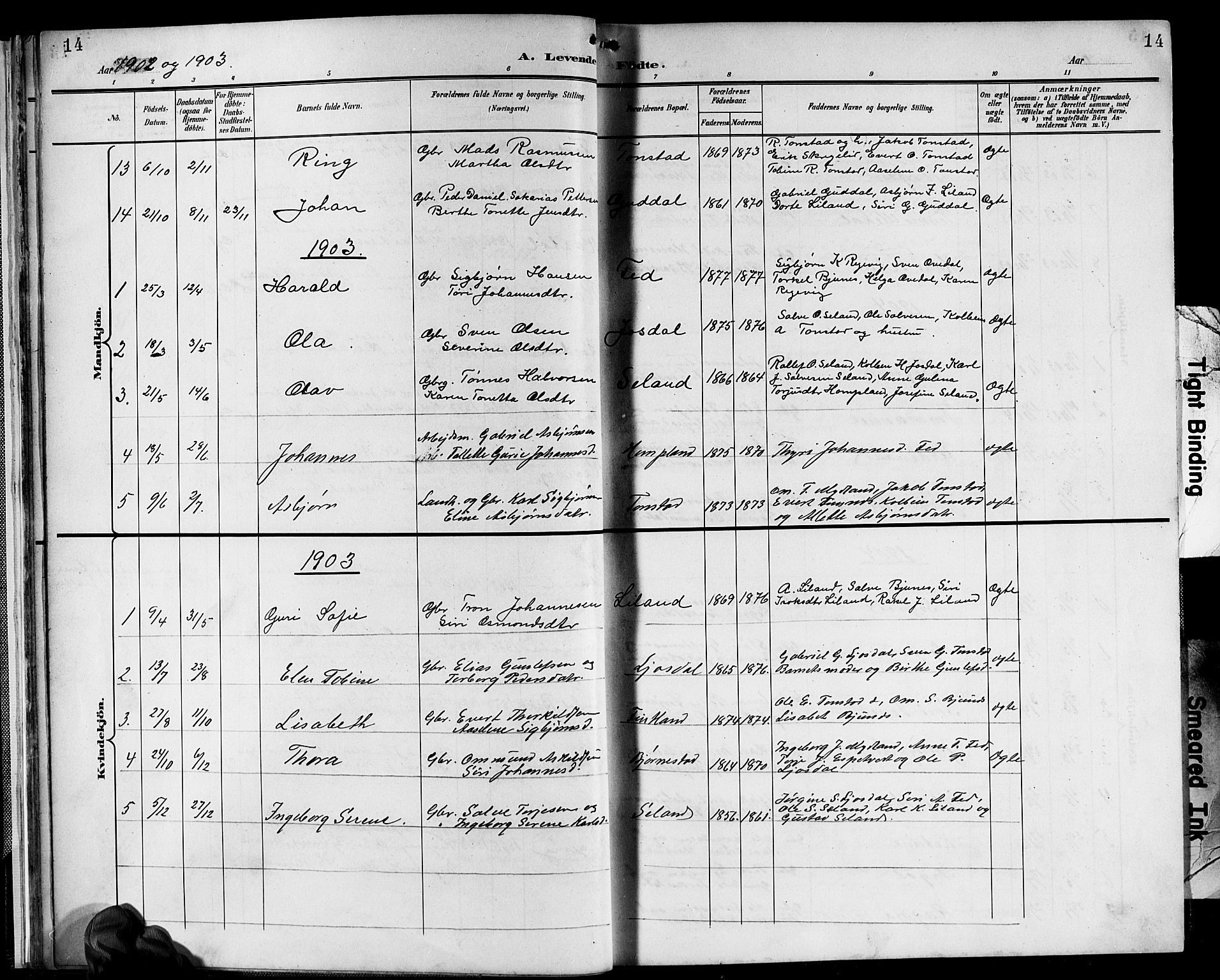 Sirdal sokneprestkontor, AV/SAK-1111-0036/F/Fb/Fbb/L0004: Parish register (copy) no. B 4, 1895-1916, p. 14