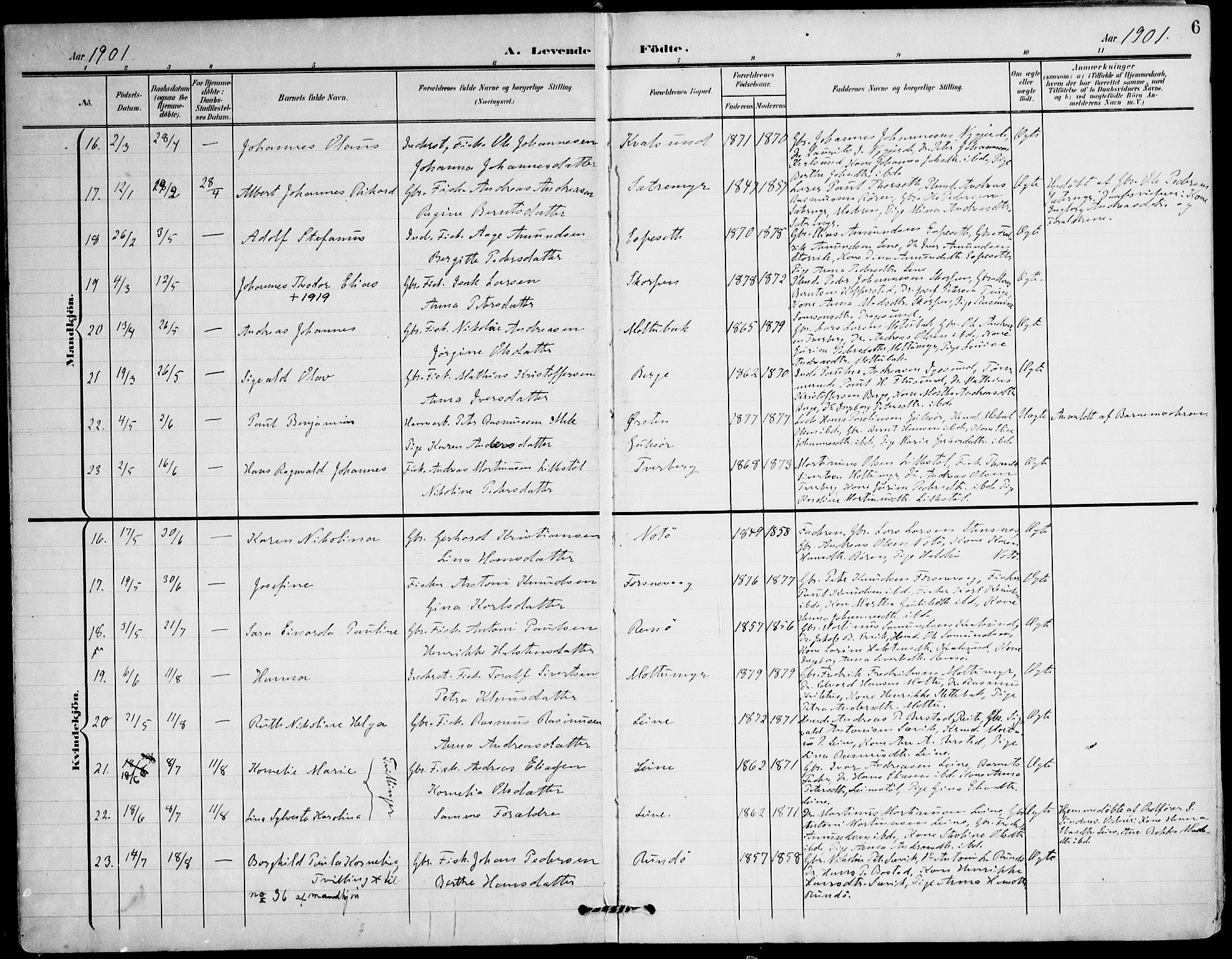 Ministerialprotokoller, klokkerbøker og fødselsregistre - Møre og Romsdal, AV/SAT-A-1454/507/L0075: Parish register (official) no. 507A10, 1901-1920, p. 6