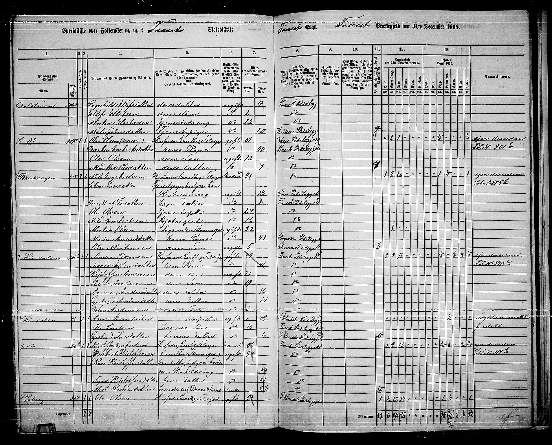 RA, 1865 census for Tynset, 1865, p. 119