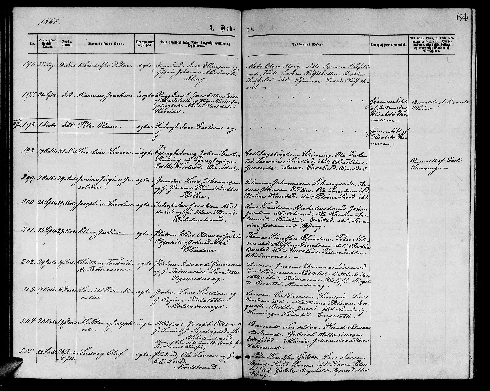 Ministerialprotokoller, klokkerbøker og fødselsregistre - Møre og Romsdal, AV/SAT-A-1454/528/L0428: Parish register (copy) no. 528C09, 1864-1880, p. 64