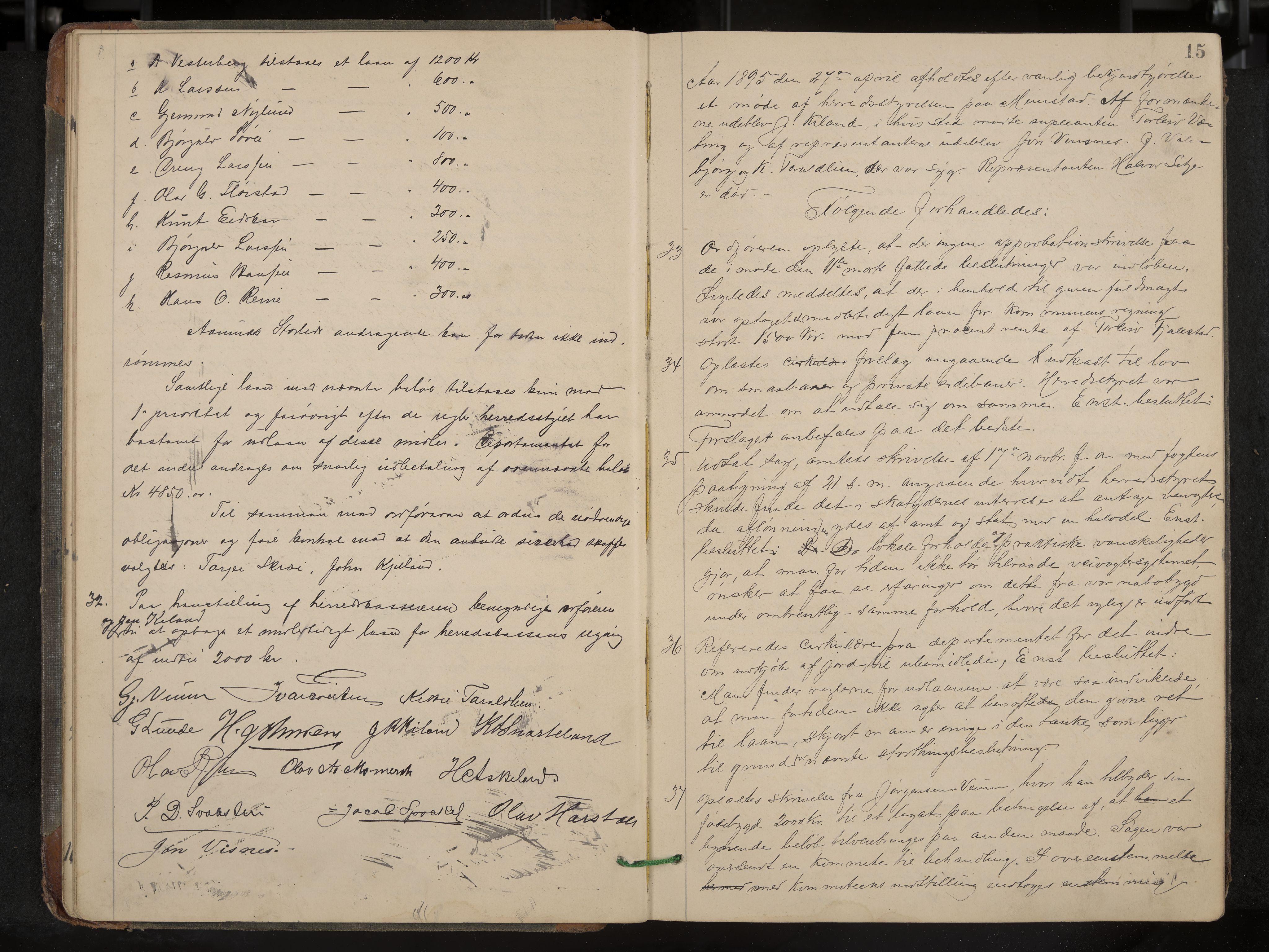 Fyresdal formannskap og sentraladministrasjon, IKAK/0831021-1/Aa/L0003: Møtebok, 1894-1903, p. 15