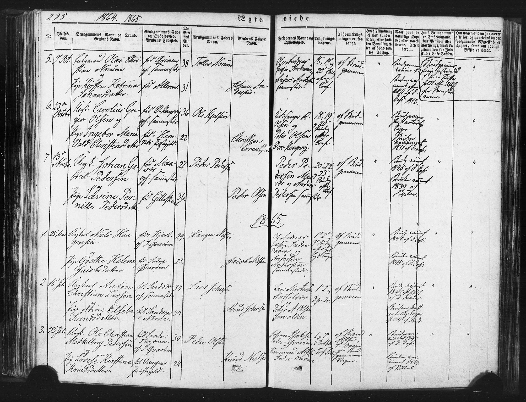 Ministerialprotokoller, klokkerbøker og fødselsregistre - Nordland, SAT/A-1459/839/L0567: Parish register (official) no. 839A04, 1863-1879, p. 295