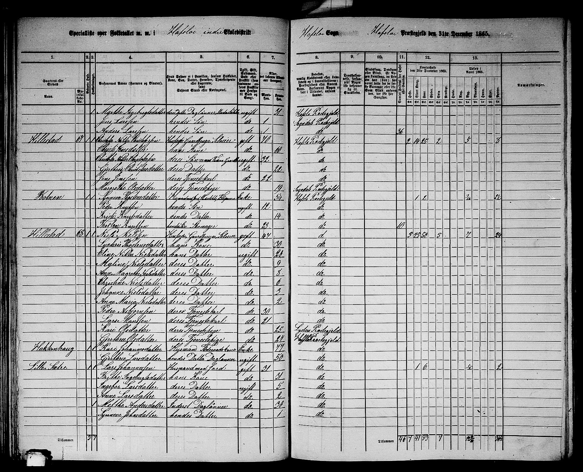 RA, 1865 census for Hafslo, 1865, p. 57