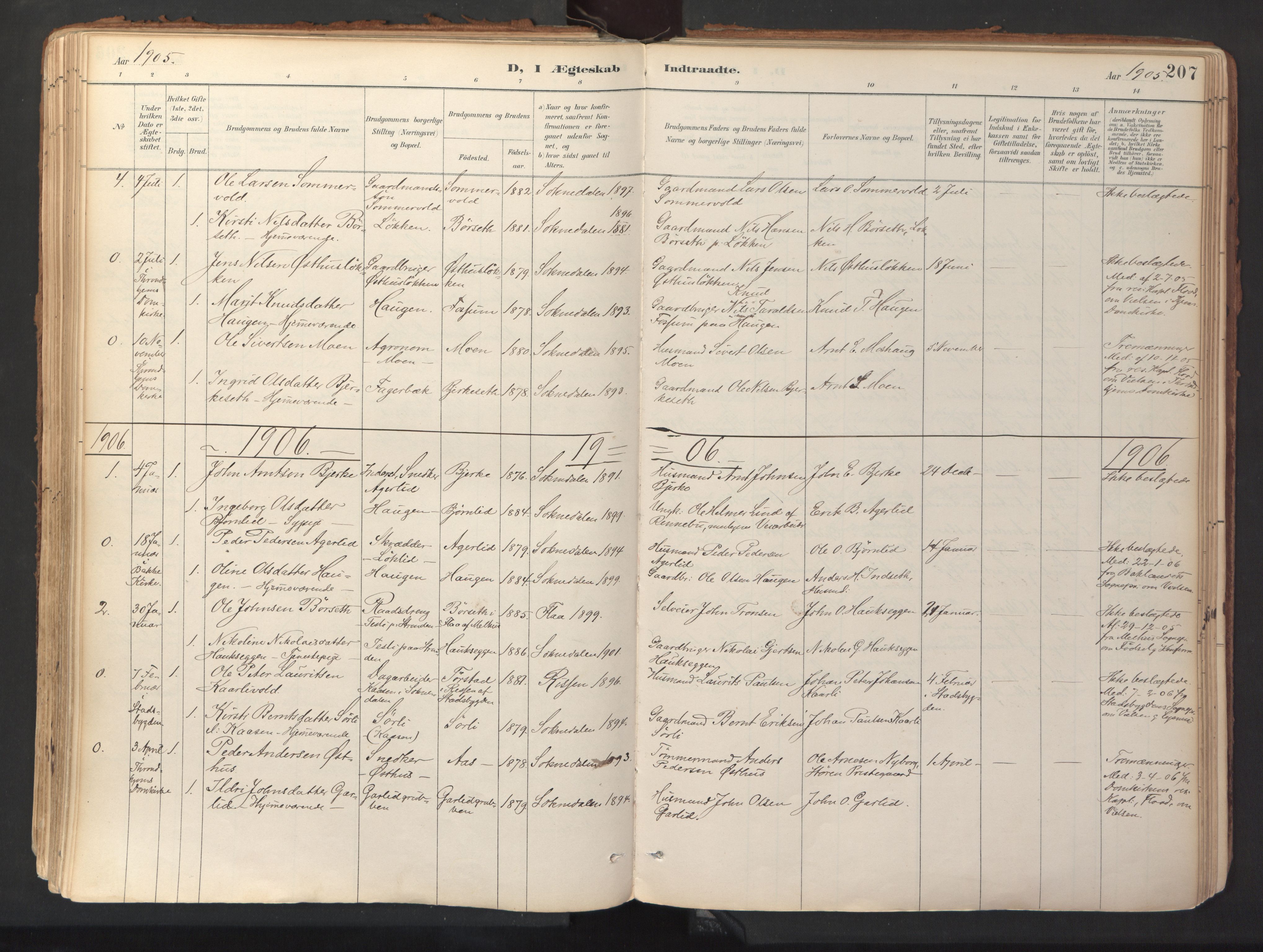 Ministerialprotokoller, klokkerbøker og fødselsregistre - Sør-Trøndelag, SAT/A-1456/689/L1041: Parish register (official) no. 689A06, 1891-1923, p. 207