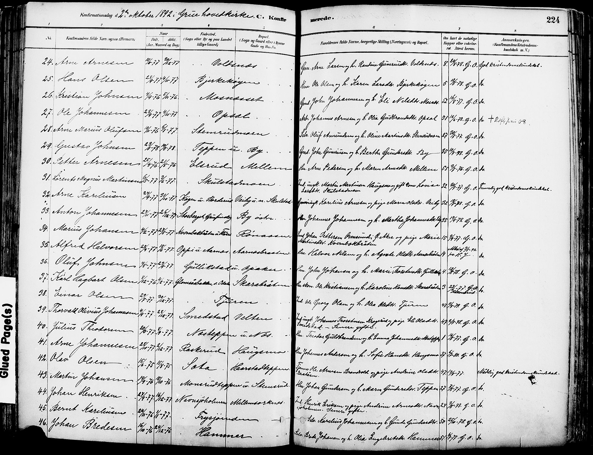 Grue prestekontor, AV/SAH-PREST-036/H/Ha/Haa/L0012: Parish register (official) no. 12, 1881-1897, p. 224