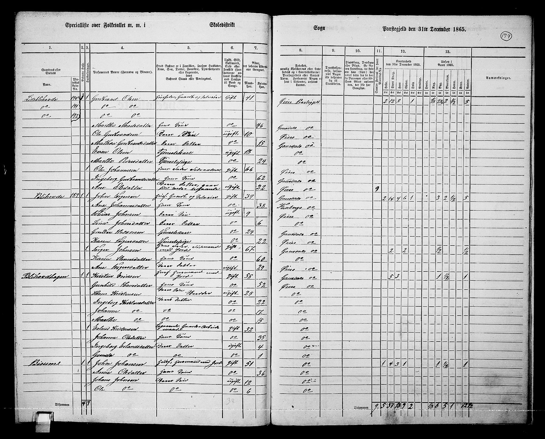 RA, 1865 census for Øyer, 1865, p. 164