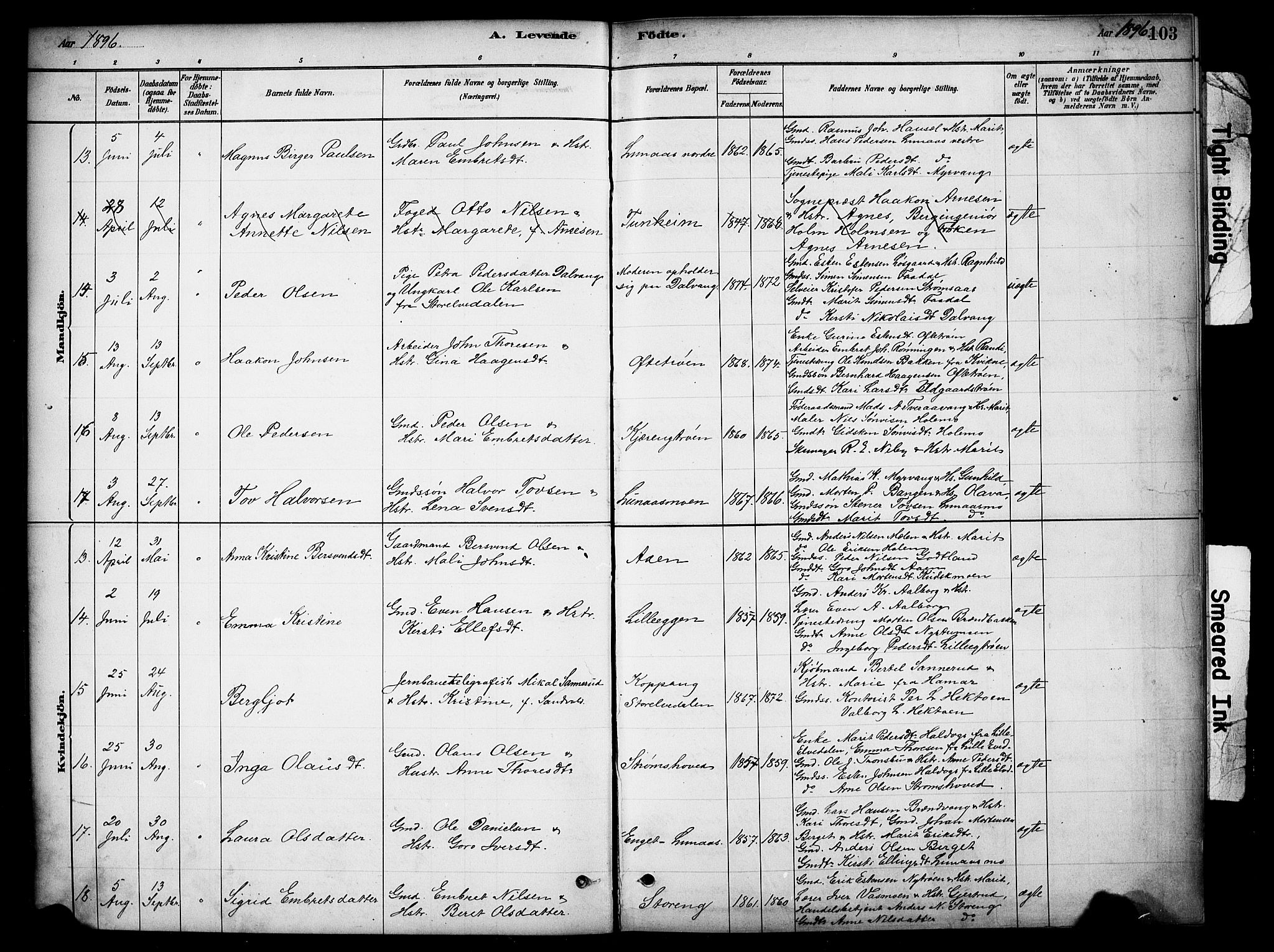 Tynset prestekontor, SAH/PREST-058/H/Ha/Hab/L0006: Parish register (copy) no. 6, 1880-1899, p. 103