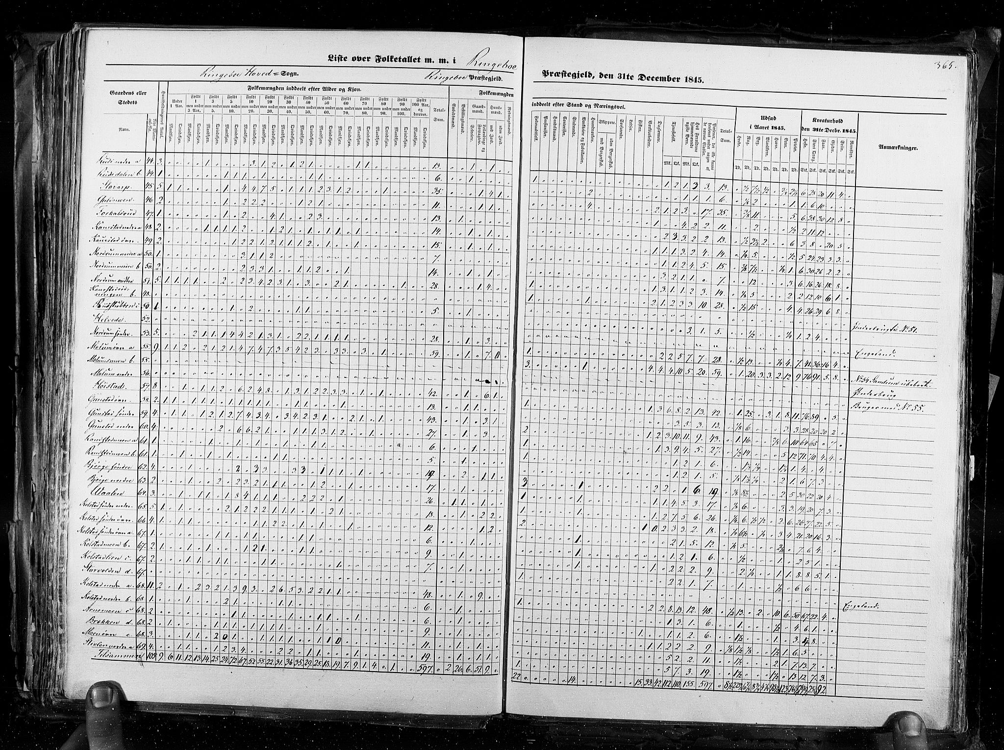 RA, Census 1845, vol. 3: Hedemarken amt og Kristians amt, 1845, p. 365