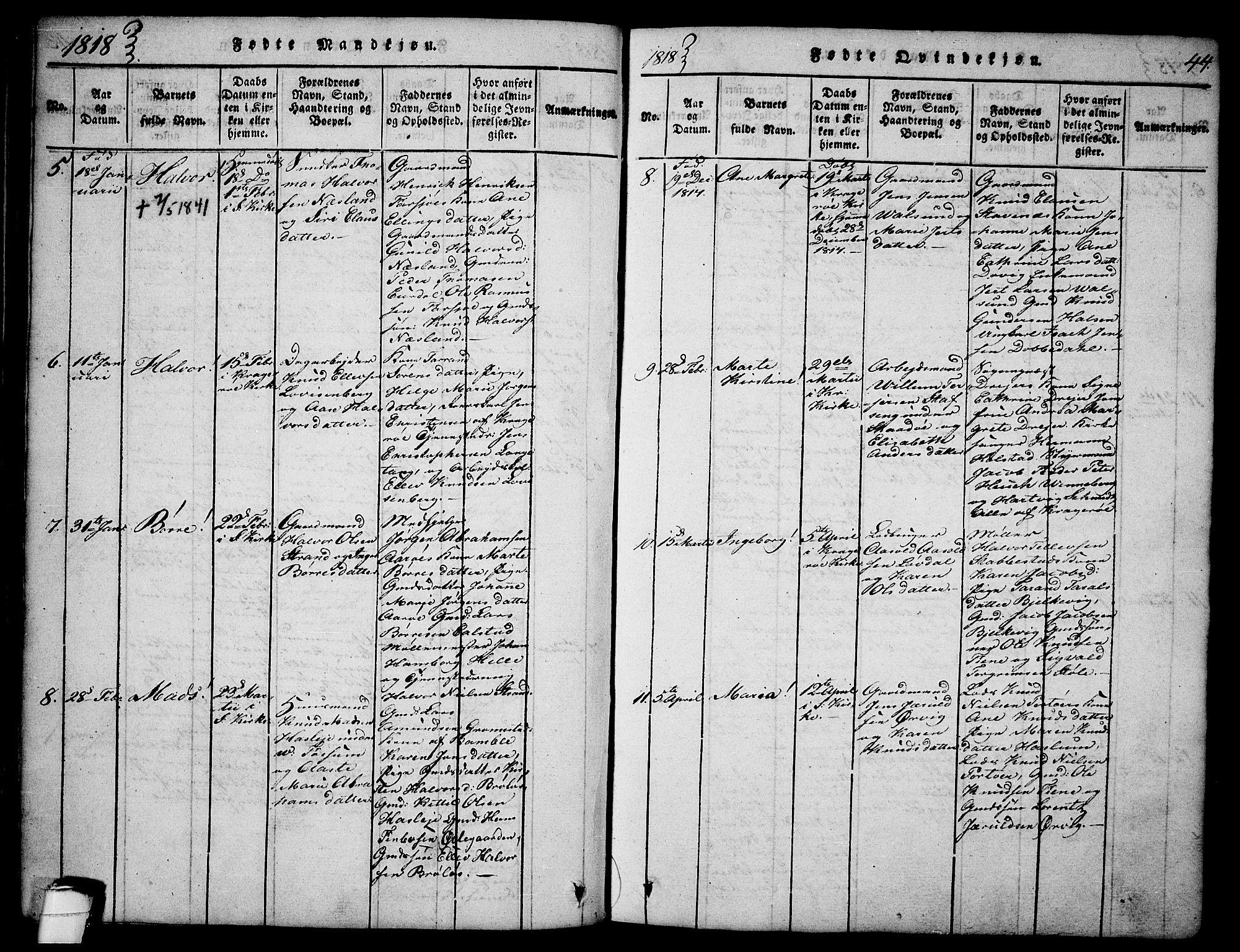 Sannidal kirkebøker, SAKO/A-296/F/Fa/L0004: Parish register (official) no. 4, 1814-1829, p. 44