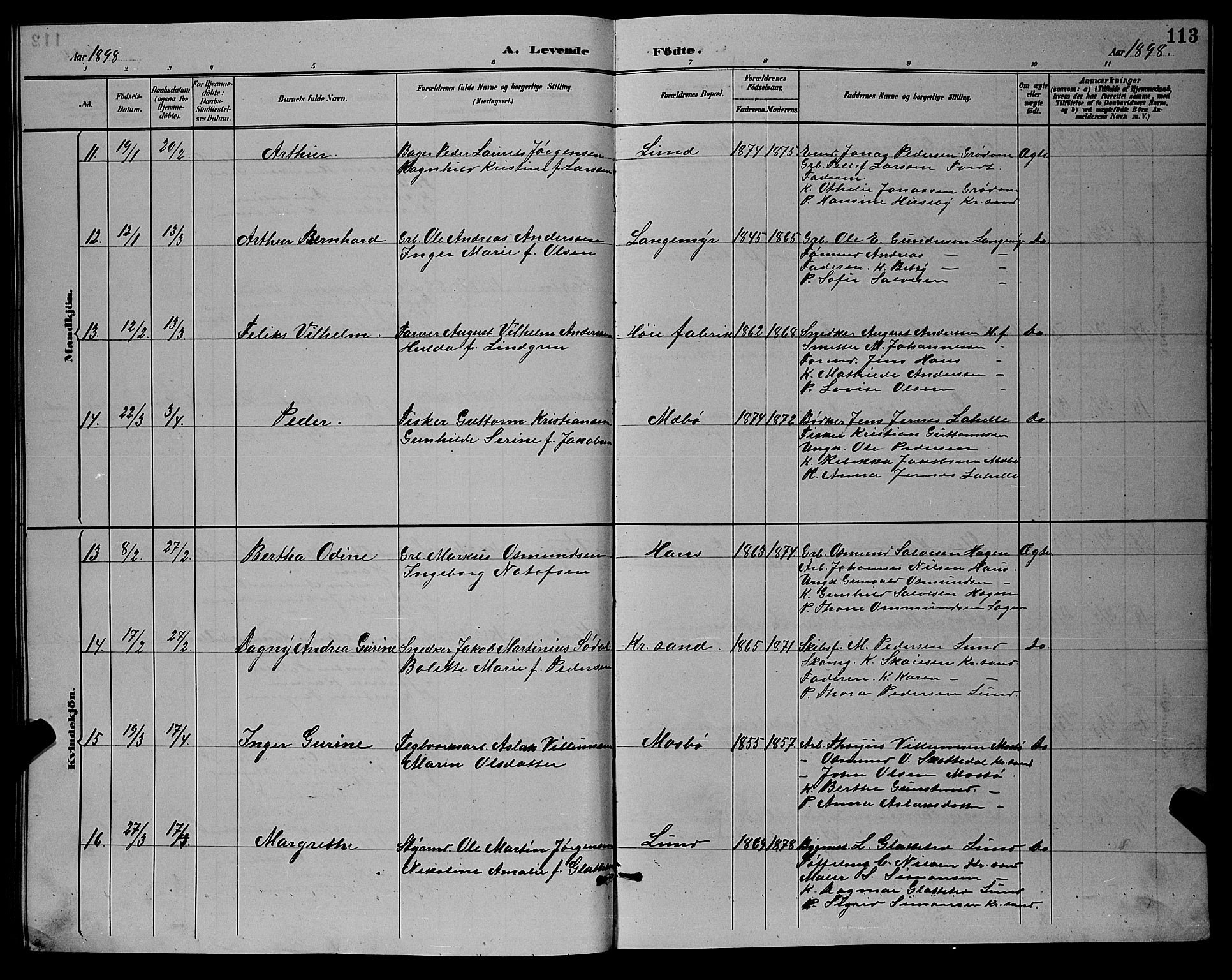 Oddernes sokneprestkontor, AV/SAK-1111-0033/F/Fb/Fba/L0008: Parish register (copy) no. B 8, 1887-1898, p. 113