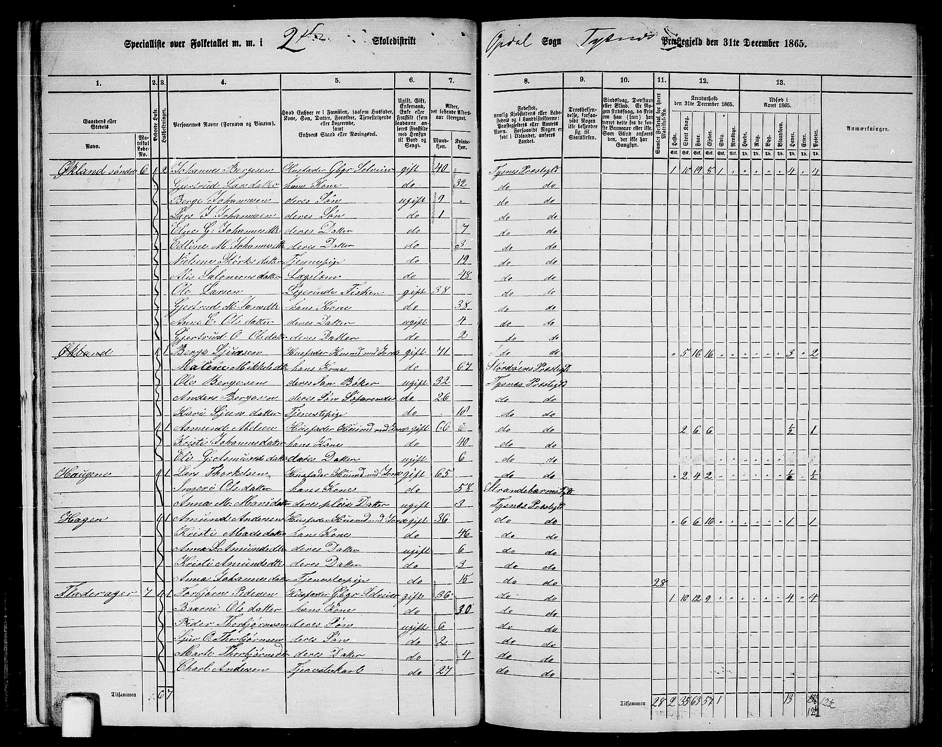 RA, 1865 census for Tysnes, 1865, p. 19