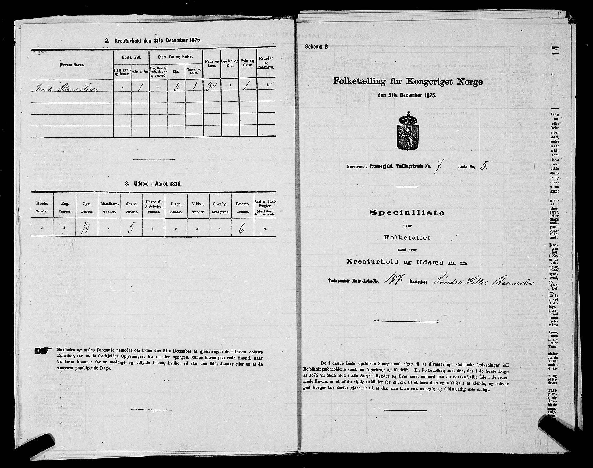 SAST, 1875 census for 1139P Nedstrand, 1875, p. 787