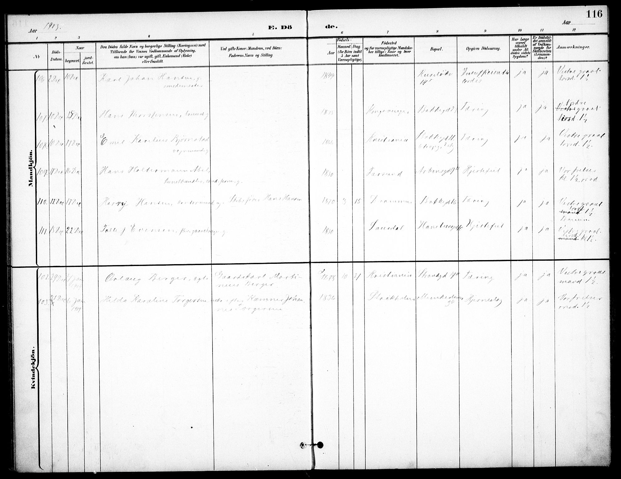Johannes prestekontor Kirkebøker, SAO/A-10852/F/Fa/L0008: Parish register (official) no. 8, 1897-1917, p. 116