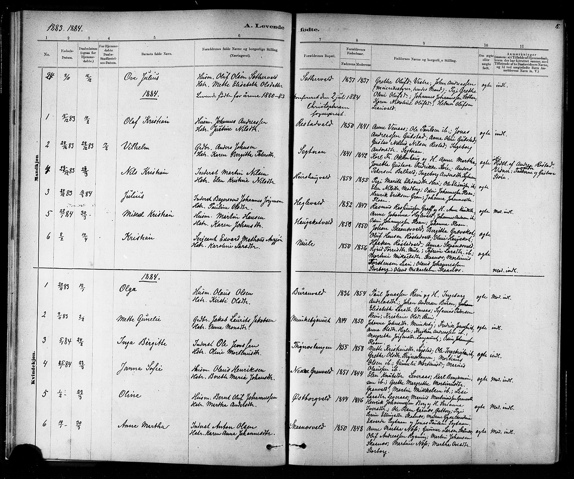 Ministerialprotokoller, klokkerbøker og fødselsregistre - Nord-Trøndelag, SAT/A-1458/721/L0208: Parish register (copy) no. 721C01, 1880-1917, p. 15