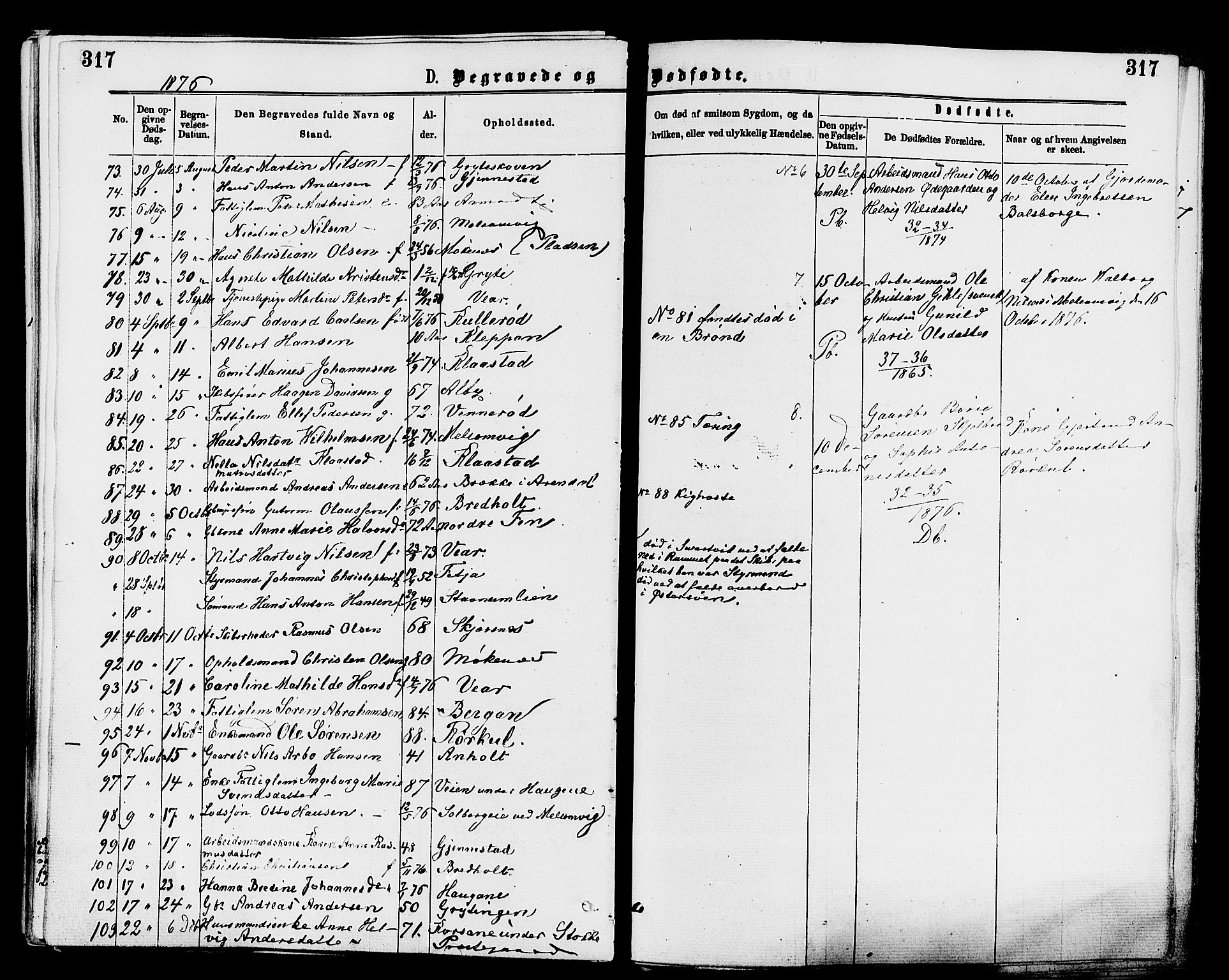 Stokke kirkebøker, AV/SAKO-A-320/F/Fa/L0009: Parish register (official) no. I 9, 1872-1883, p. 317