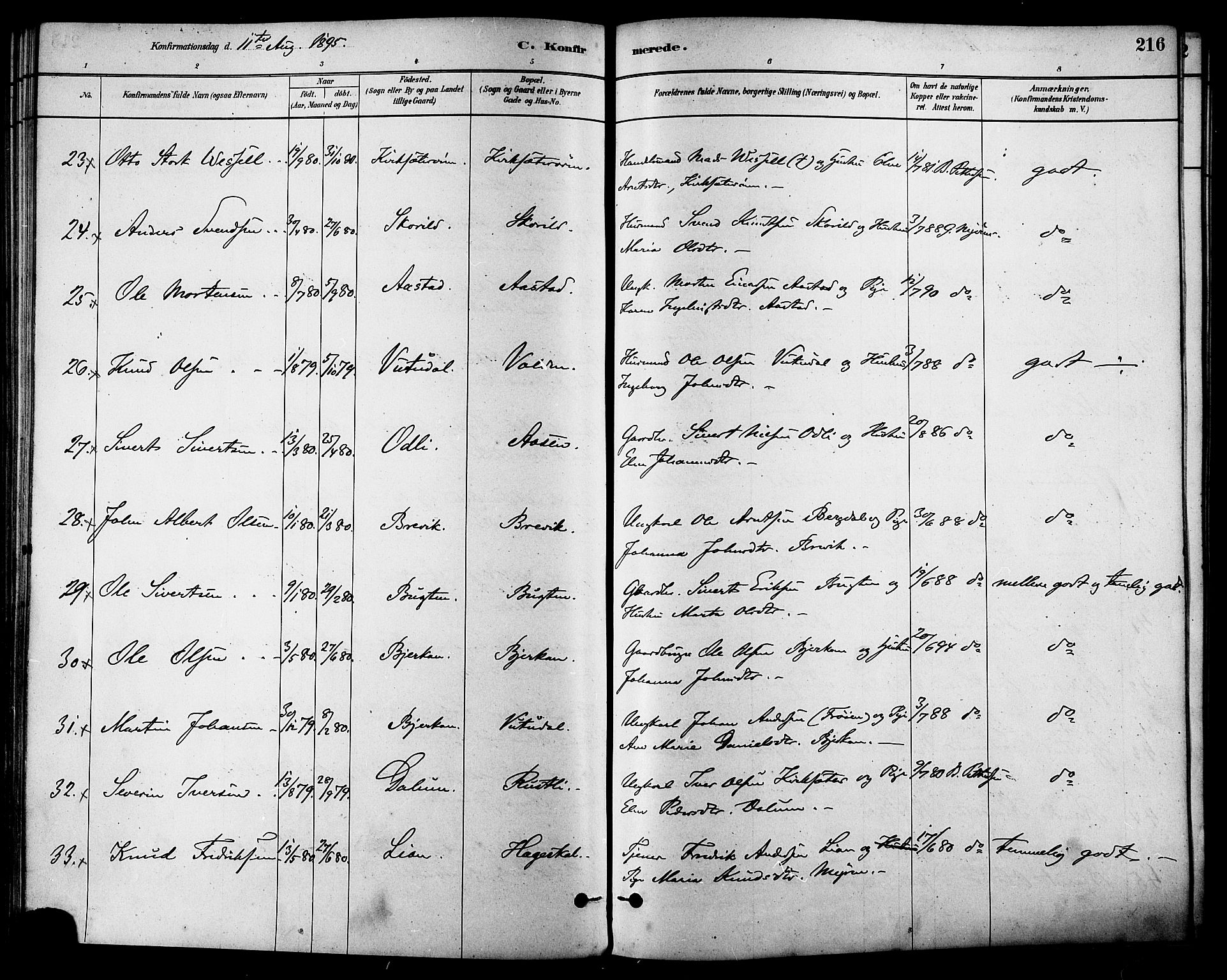 Ministerialprotokoller, klokkerbøker og fødselsregistre - Sør-Trøndelag, AV/SAT-A-1456/630/L0496: Parish register (official) no. 630A09, 1879-1895, p. 216