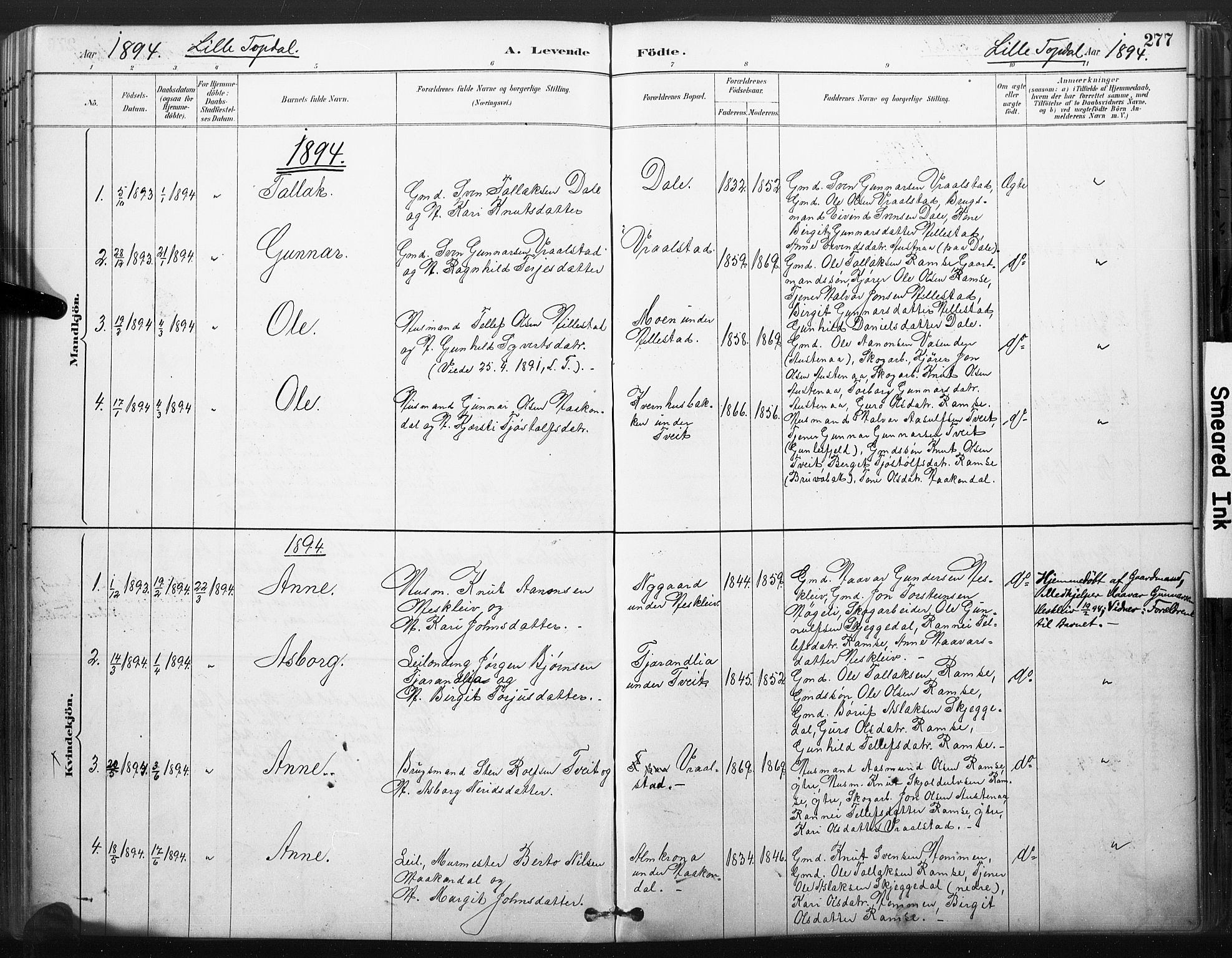 Åmli sokneprestkontor, SAK/1111-0050/F/Fa/Fac/L0010: Parish register (official) no. A 10 /3, 1885-1899, p. 277