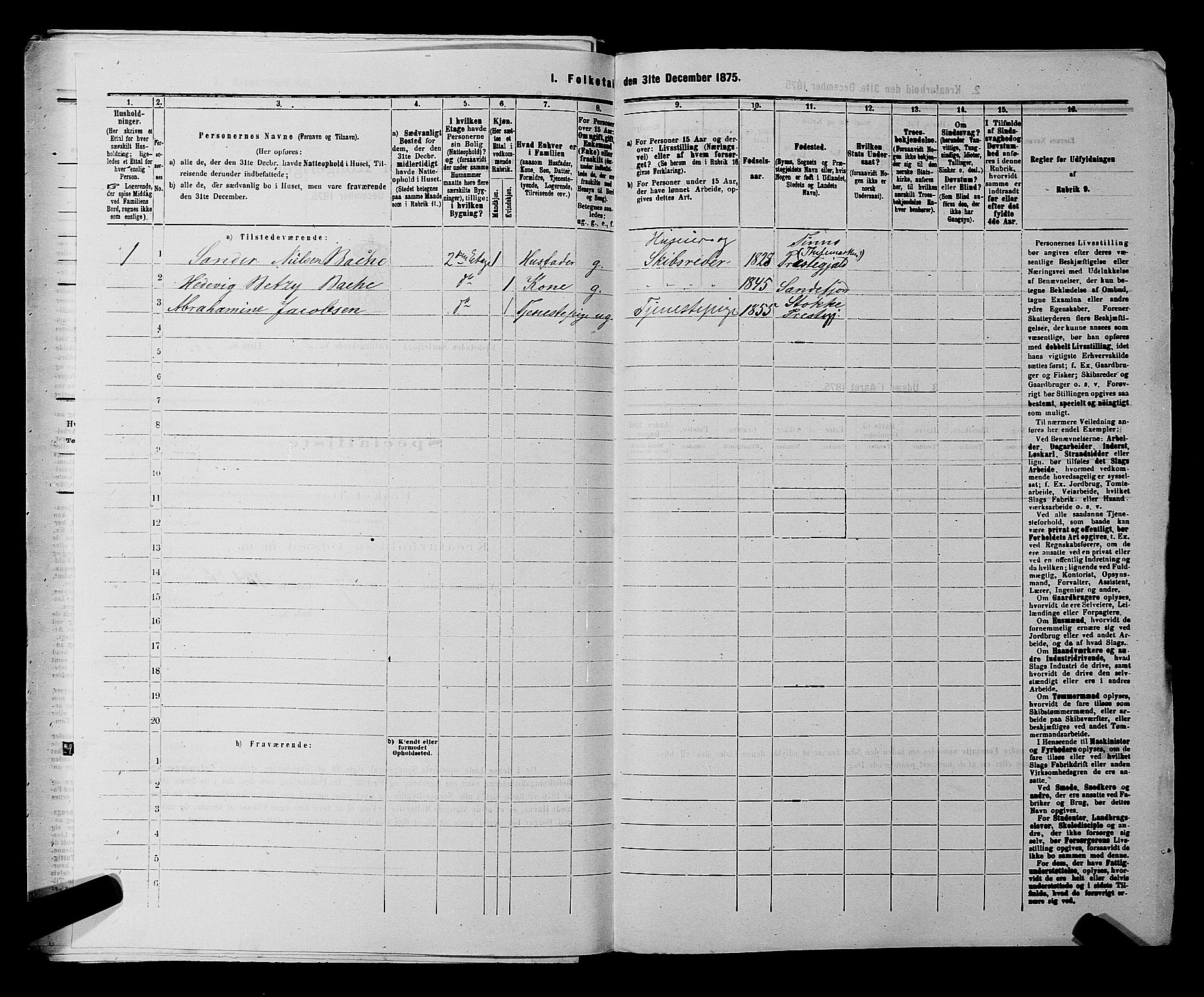 SAKO, 1875 census for 0706B Sandeherred/Sandefjord, 1875, p. 346