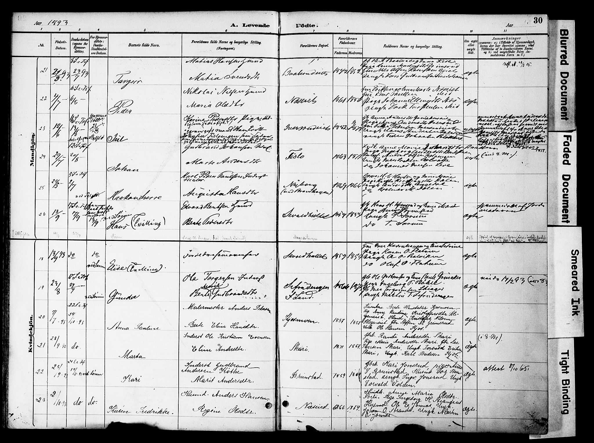 Gran prestekontor, SAH/PREST-112/H/Ha/Haa/L0020: Parish register (official) no. 20, 1889-1899, p. 30