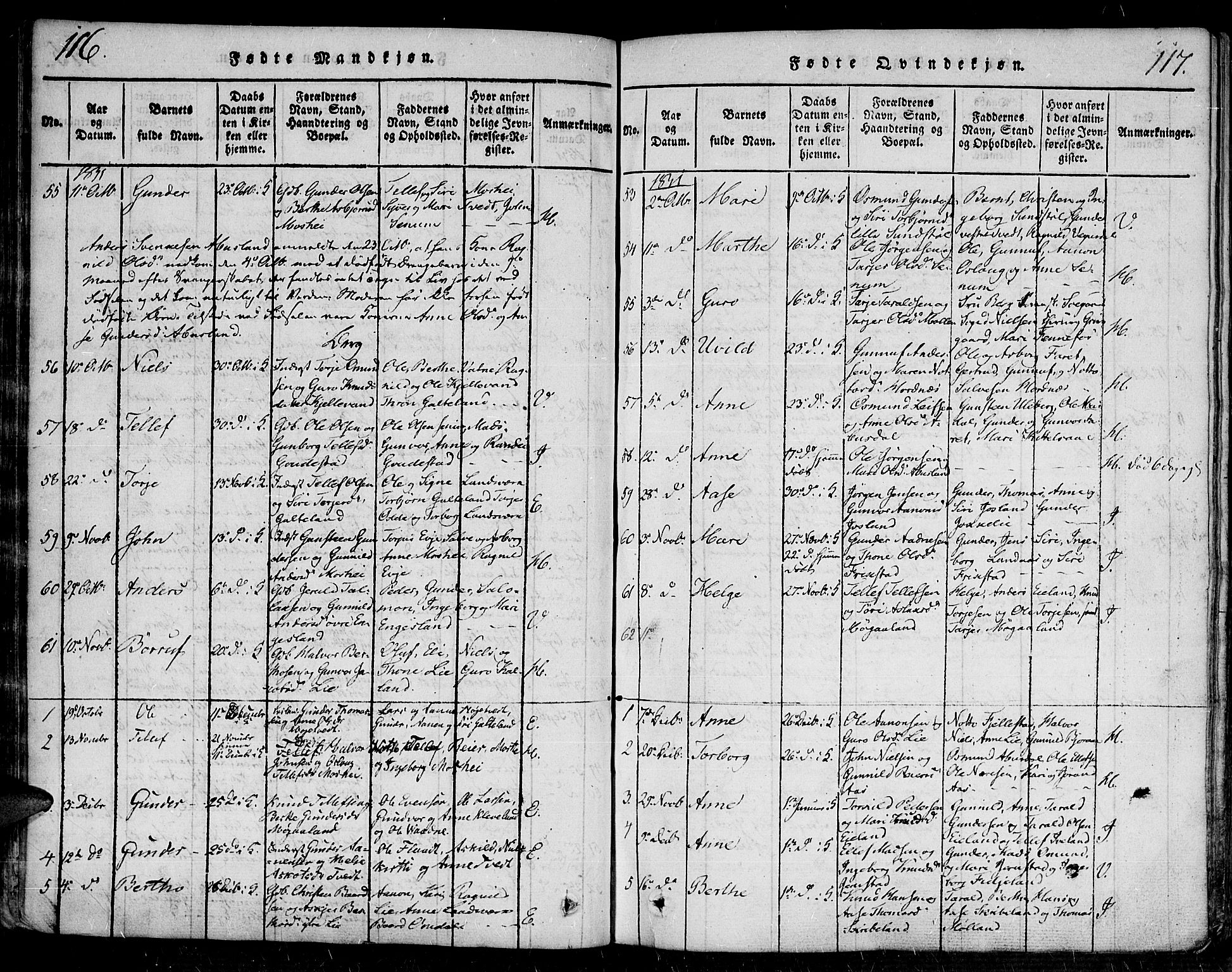 Evje sokneprestkontor, SAK/1111-0008/F/Fa/Faa/L0004: Parish register (official) no. A 4, 1816-1840, p. 116-117