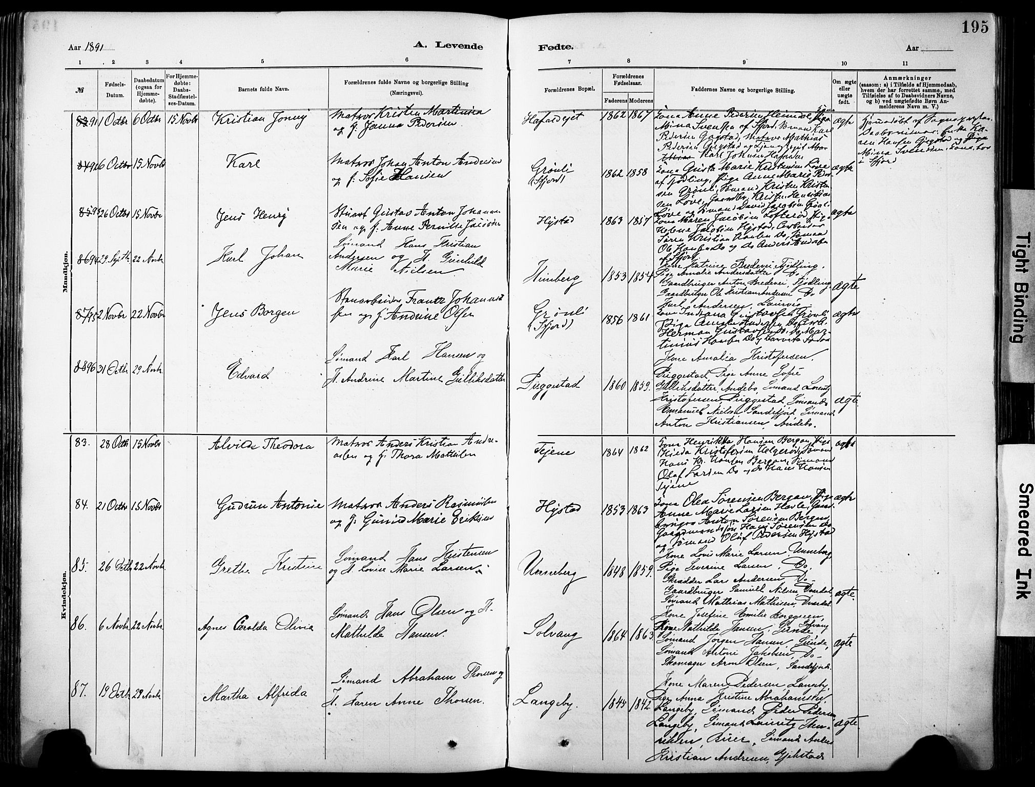 Sandar kirkebøker, AV/SAKO-A-243/F/Fa/L0012: Parish register (official) no. 12, 1883-1895, p. 195