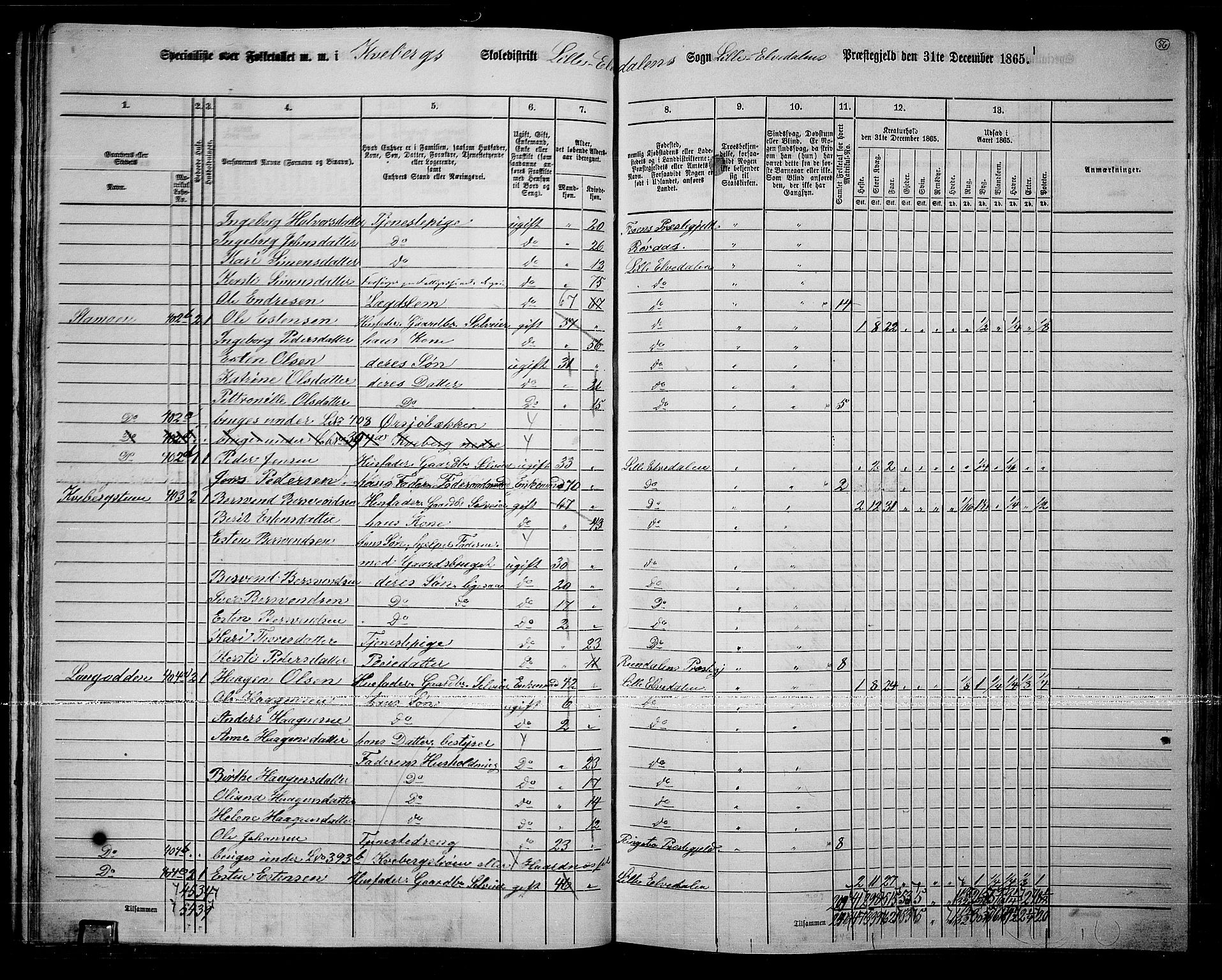 RA, 1865 census for Lille Elvedalen, 1865, p. 51
