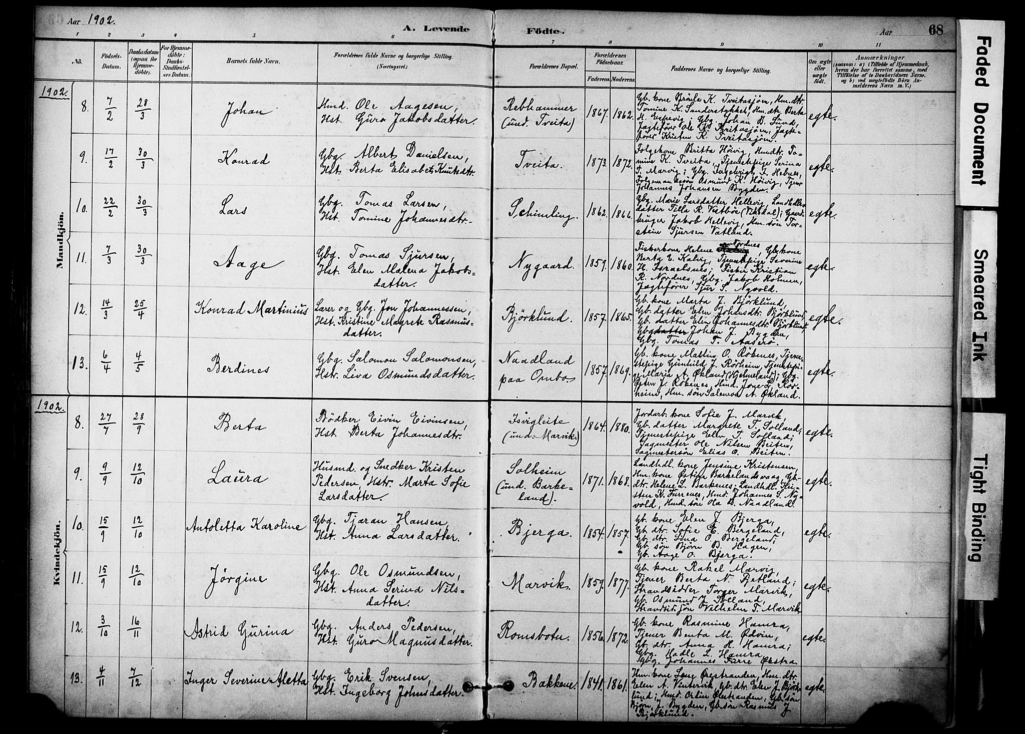 Jelsa sokneprestkontor, AV/SAST-A-101842/01/IV: Parish register (official) no. A 10, 1884-1906, p. 68