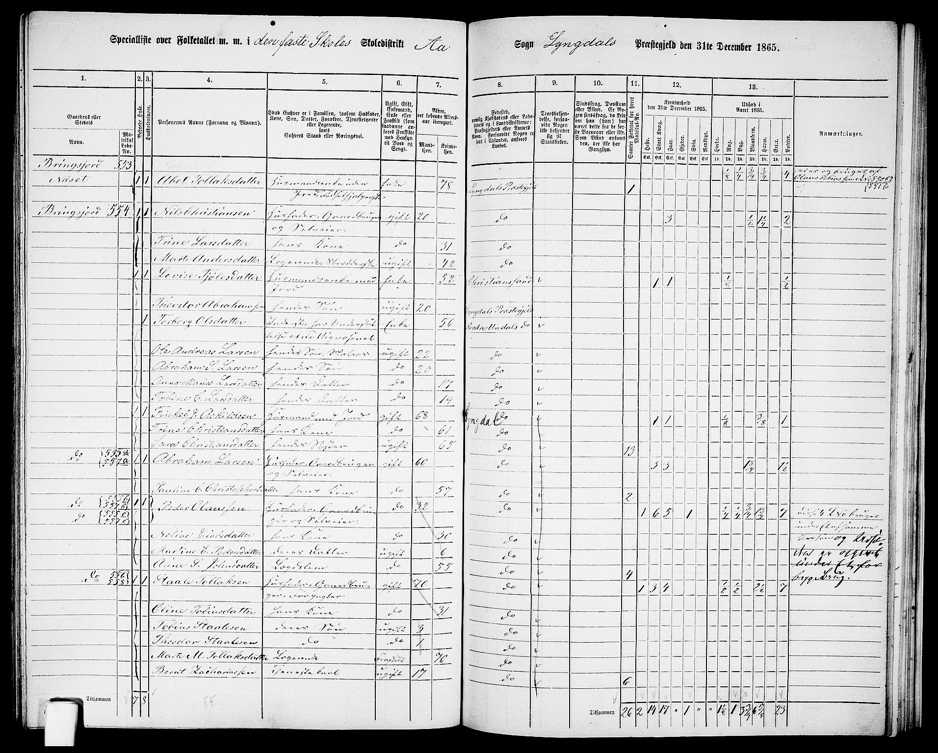 RA, 1865 census for Lyngdal, 1865, p. 211